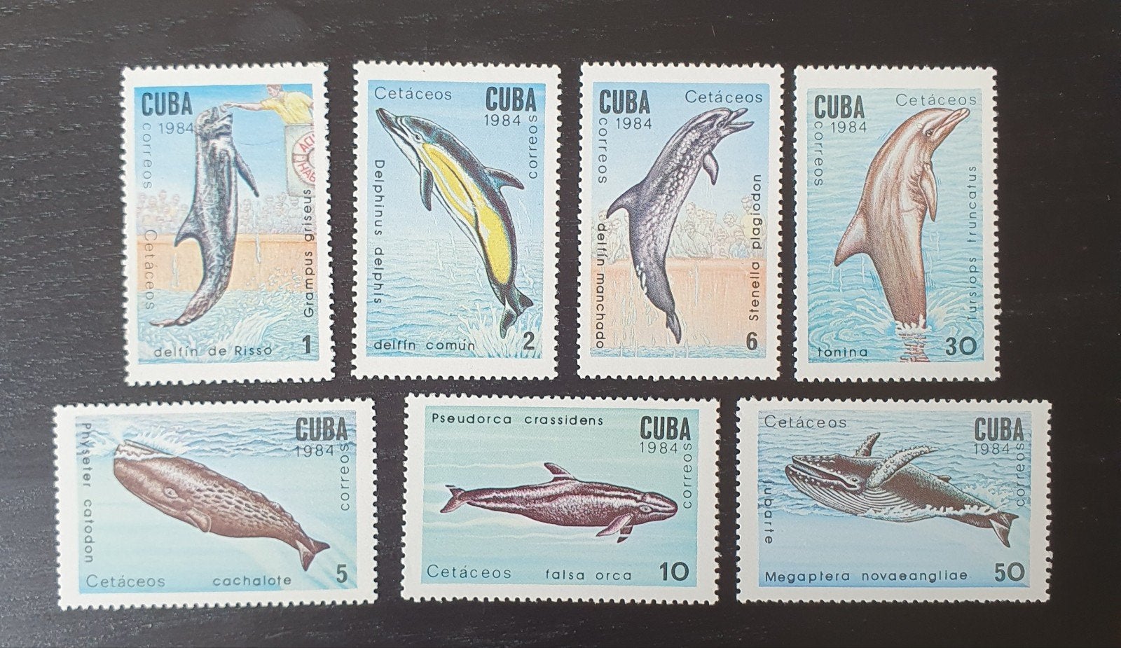 Cuba 1984 Dolfijn Walvis Michel 2828-2834 postfris, Verzenden, Postfris, Dier of Natuur