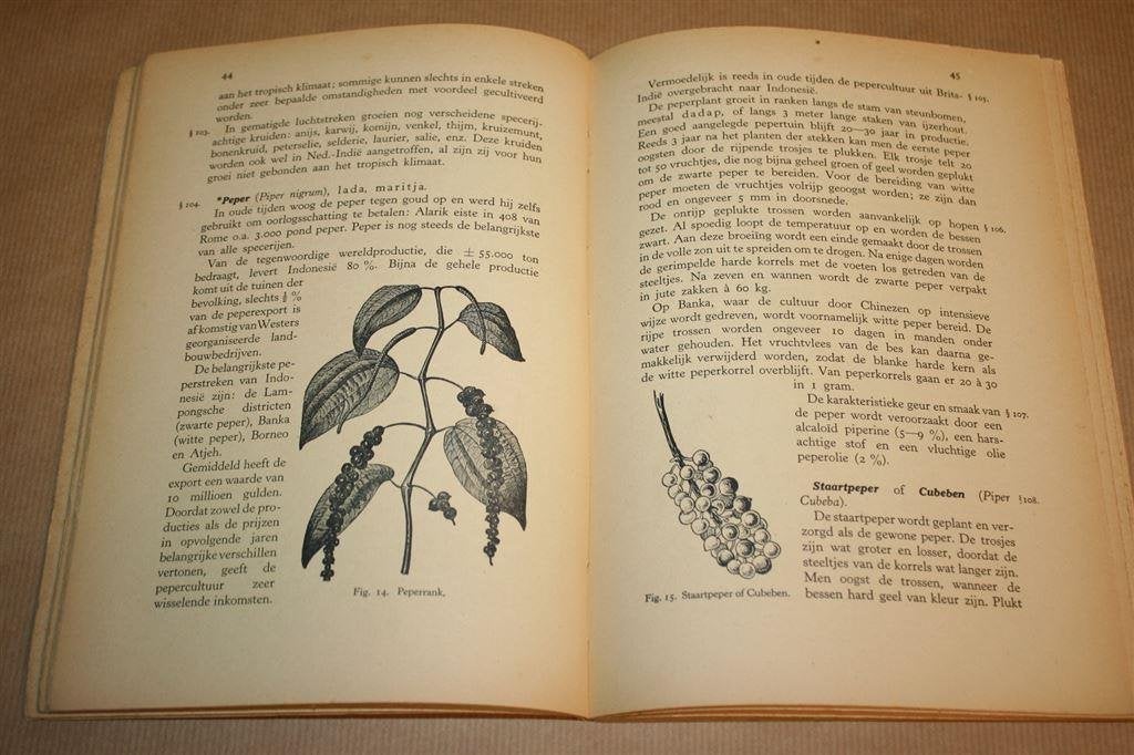 Producten Van Indonesië. Insulinde 1. Veer - 1945, Boeken, Ophalen of Verzenden, Gelezen