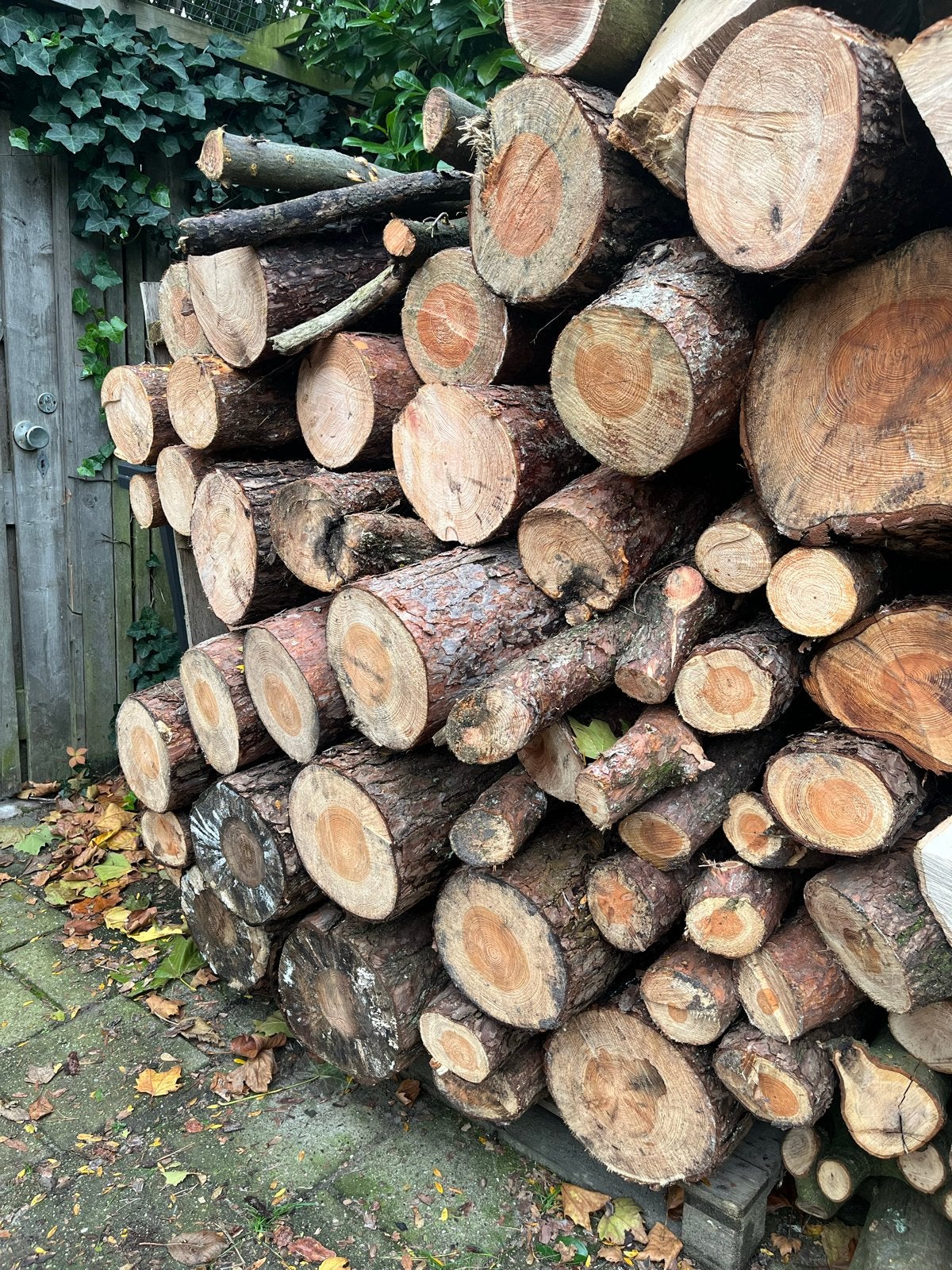 Grote boomstammen voor haardhout, Minder dan 3 m³, Ophalen of Verzenden, Overige houtsoorten, Stammen