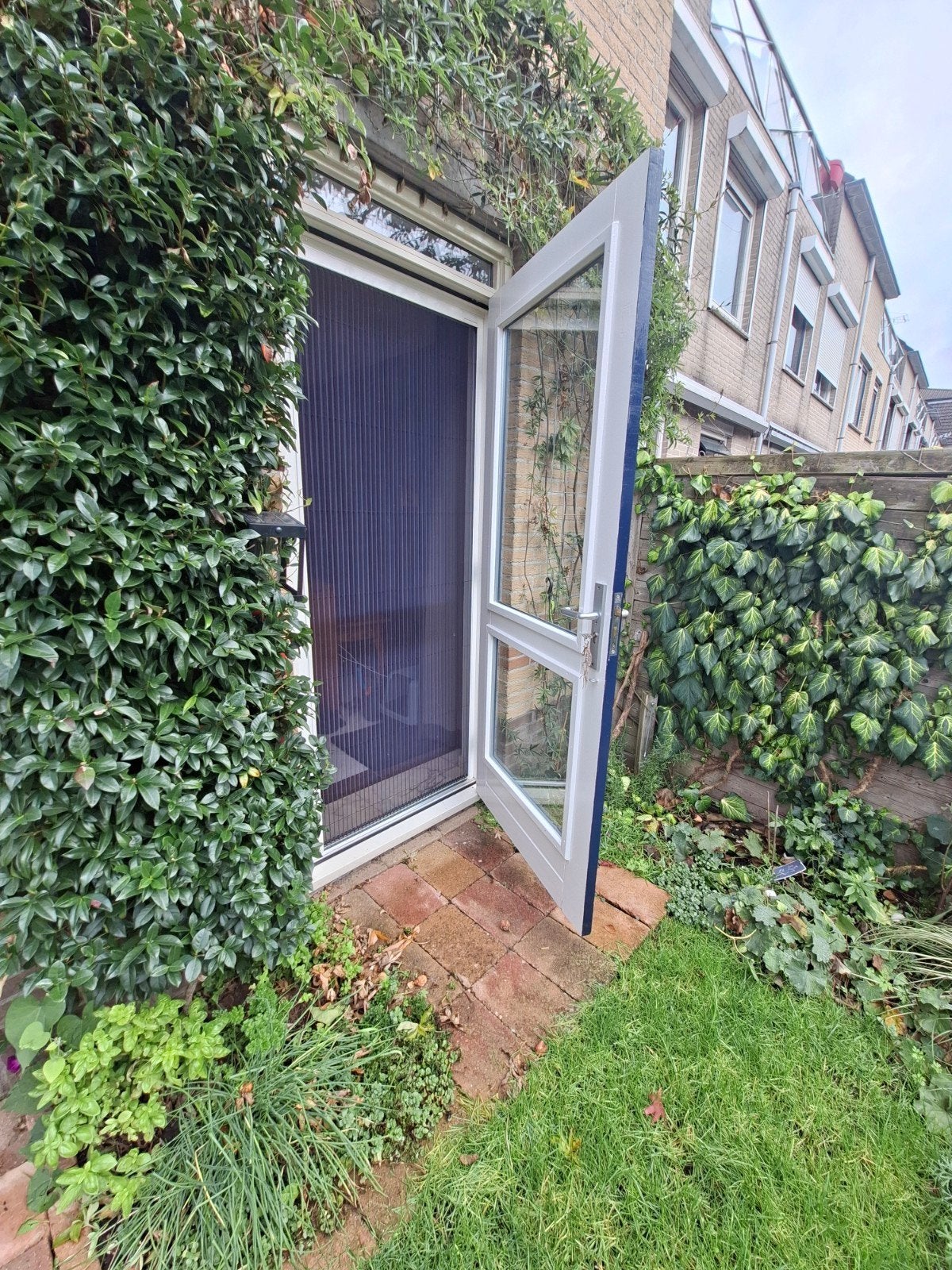 hordeur en/ of tuindeur GRATIS, Ophalen, Gebruikt, Minder dan 80 cm, Hordeur