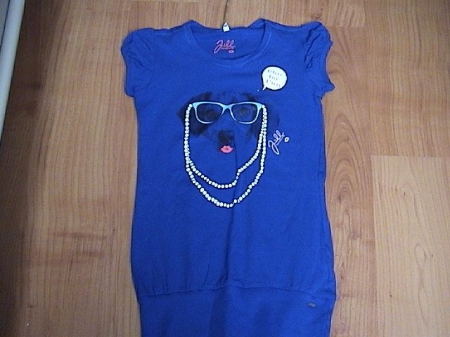 Jill / Jilly / Shoeby NIEUWE blauwe tuniek / t-shirt hond, Meisje, Nieuw, Ophalen of Verzenden, Shirt of Longsleeve