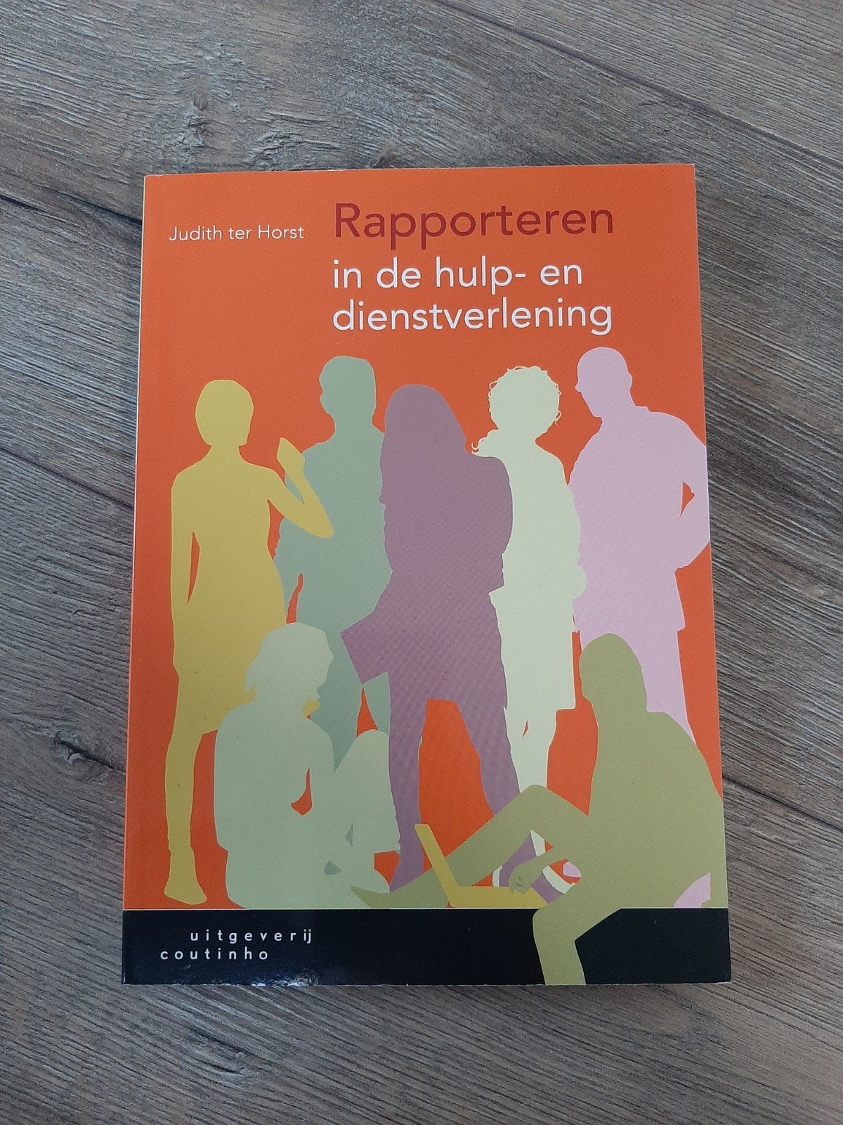 Rapporteren in de hulp- en dienstverlening, Ophalen of Verzenden, Alpha, Zo goed als nieuw, HBO