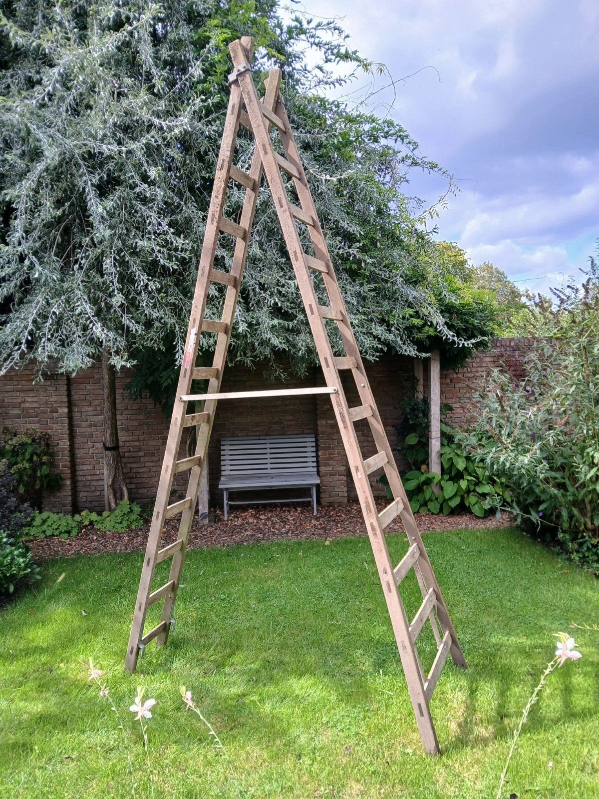 Houten schildersladder 2x12 treden, 3.25m, Doe-het-zelf en Verbouw, Ladders en Trappen, Ophalen, Gebruikt, Ladder, 2 tot 4 meter