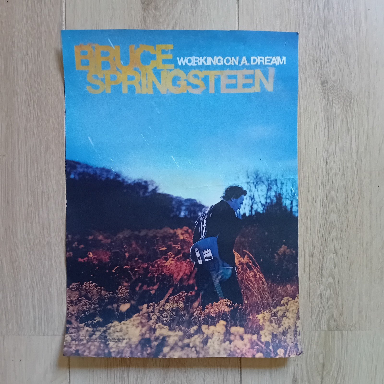 Bruce Springsteen litho poster rock pop E Street Band RARE!!, Ophalen of Verzenden, Gebruikt, Poster, Artwork of Schilderij