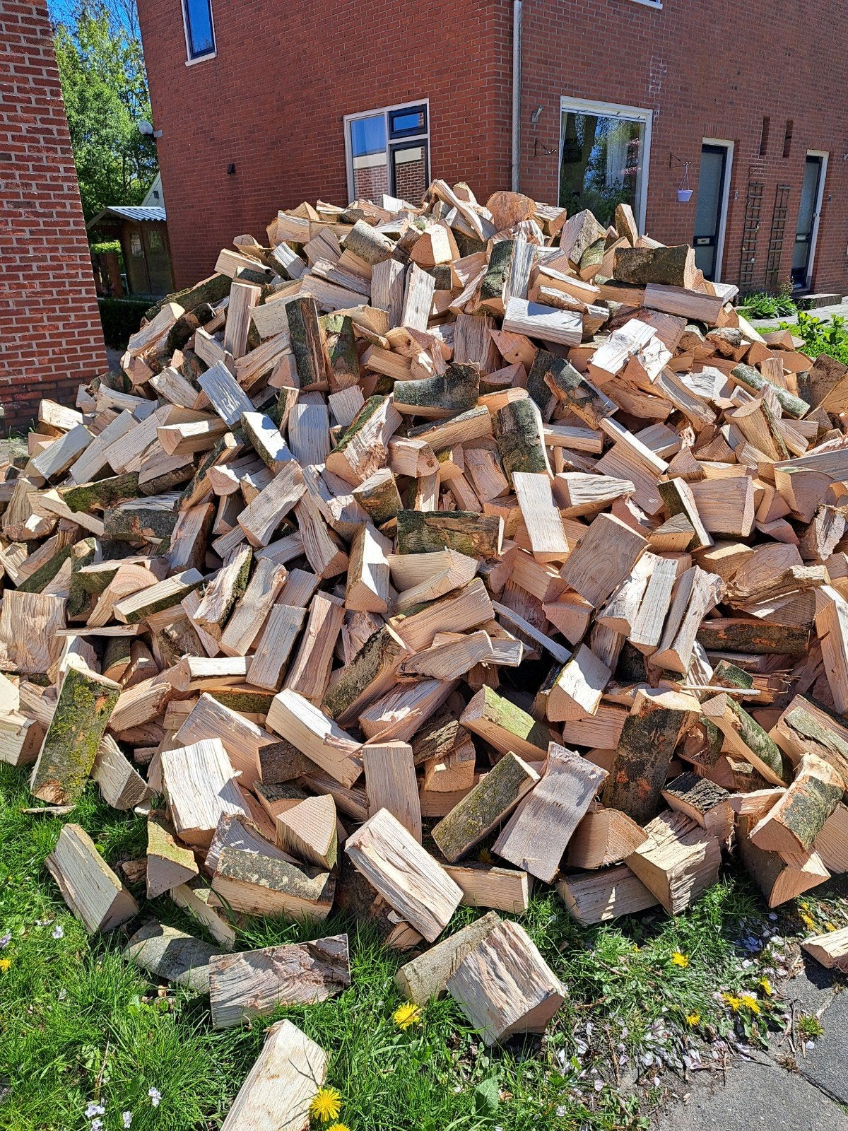 Half droog essenhout te koop, 6 m³ of meer, Ophalen of Verzenden
