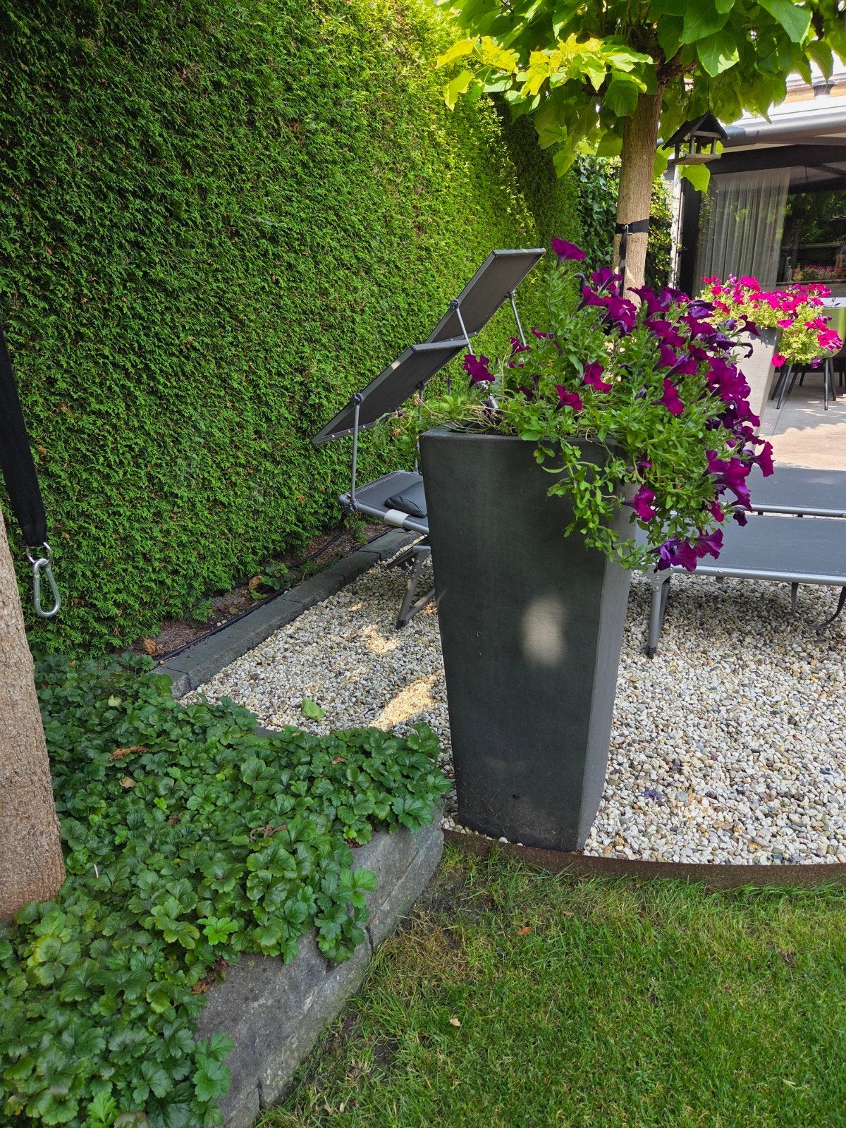 Hoge plantenbak voor tuin of terras, Tuin en Terras, Ophalen, Gebruikt, Minder dan 60 cm, Vierkant