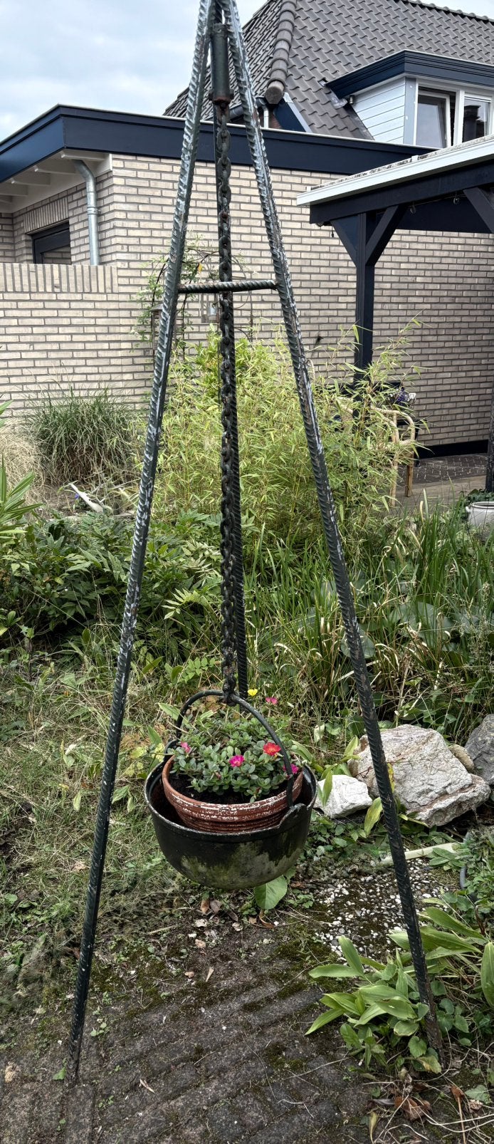 Heksenketel/plantenbak, Ophalen, Bloeit niet, Overige soorten, 100 tot 250 cm