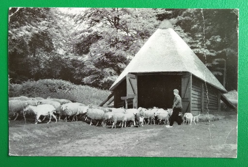 Groeten uit Nunspeet. Schaapskooi. Klf, Verzenden, 1960 tot 1980, Gelopen, Gelderland