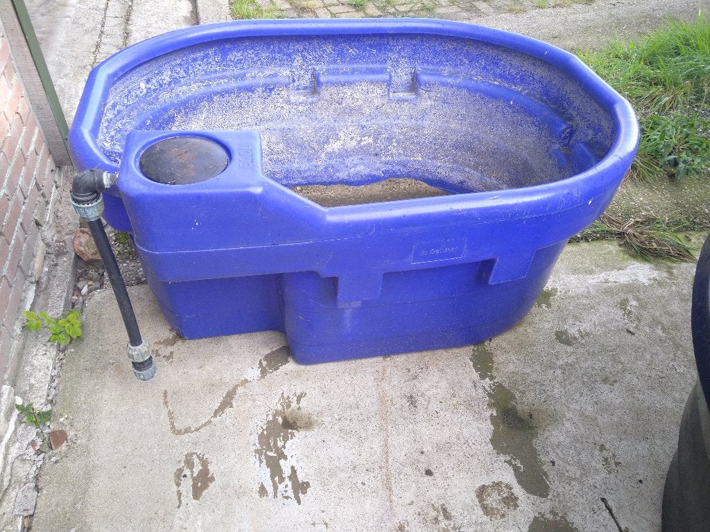 4.Waterbak koeien, Weidegang