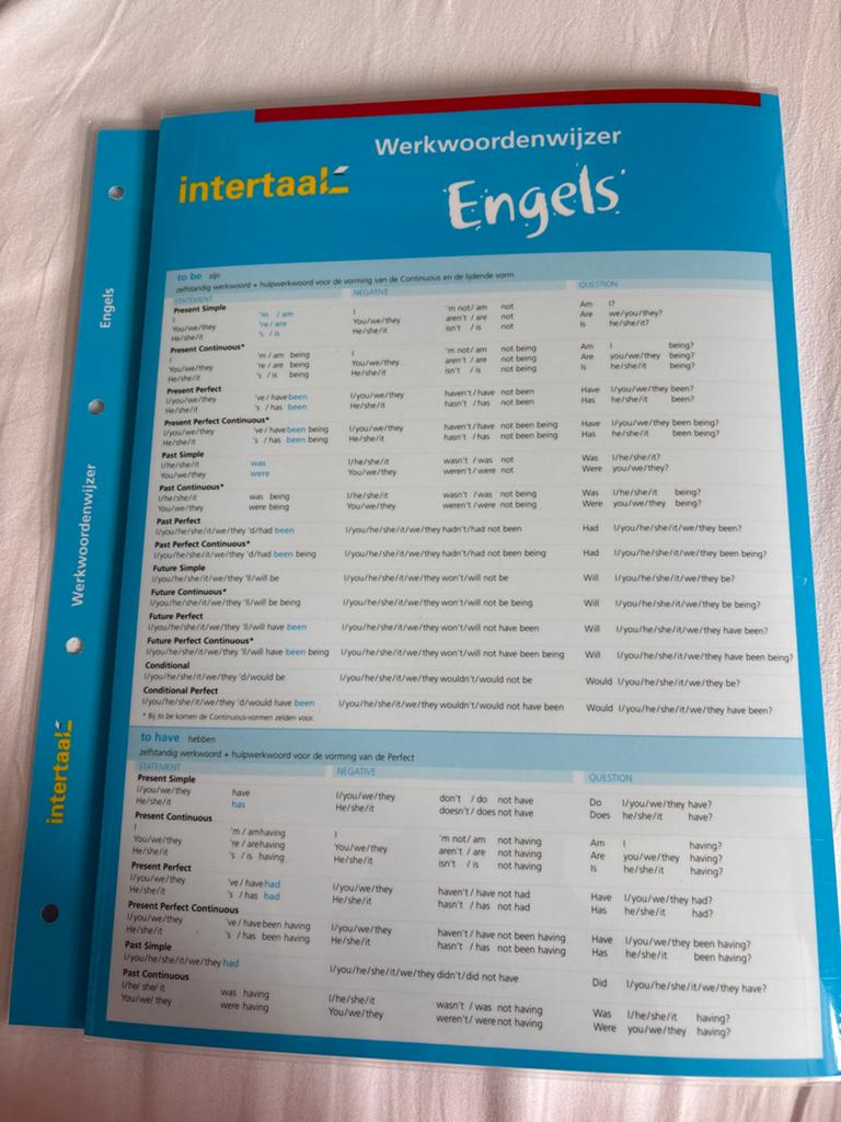 Werkwoordenwijzer Engels - Intertaal, Boeken, Ophalen of Verzenden, Zo goed als nieuw, Non-fictie