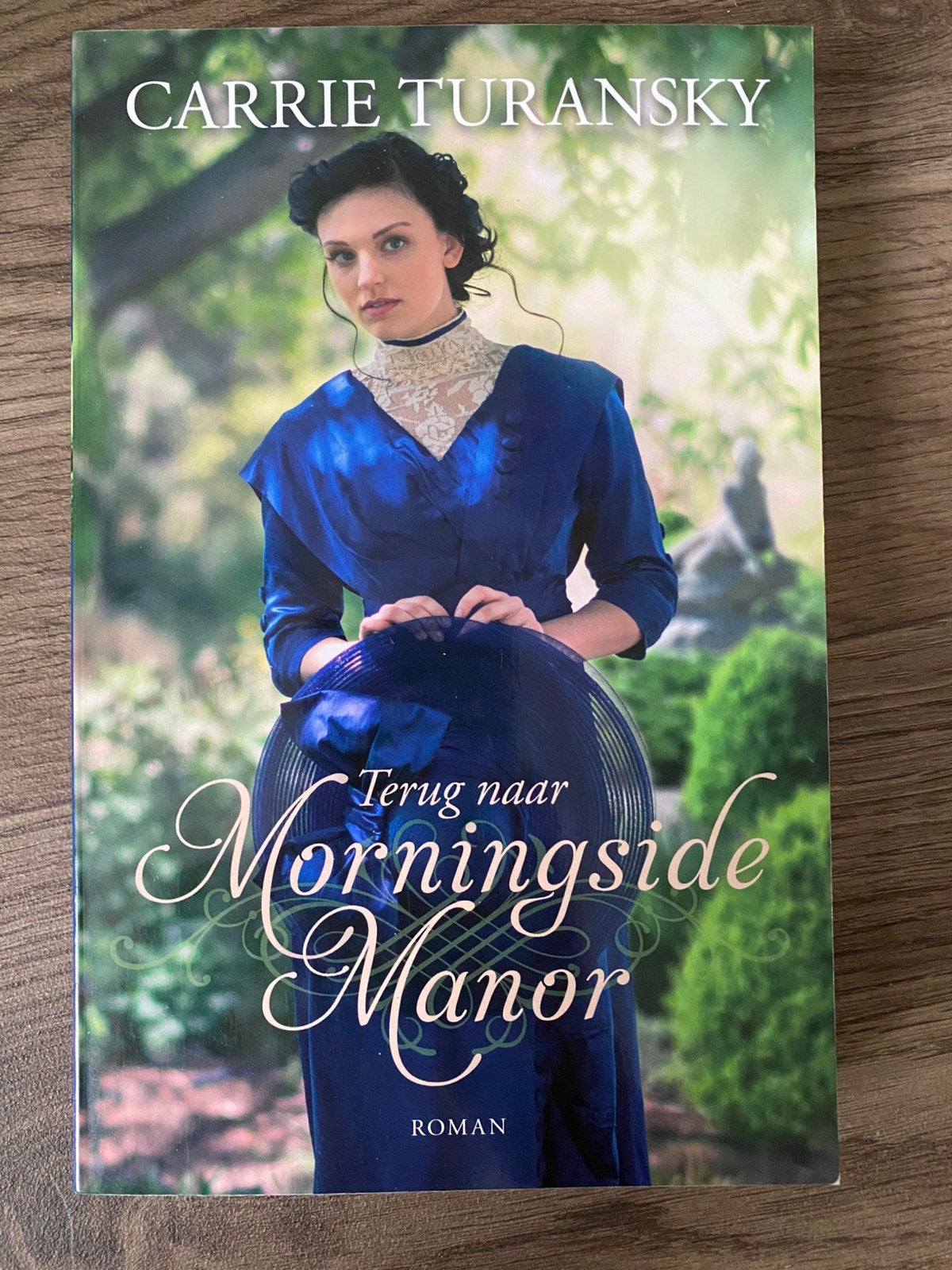 Terug naar Morningside Manor. Carrie Turansky, Boeken, Ophalen of Verzenden, Zo goed als nieuw, Amerika