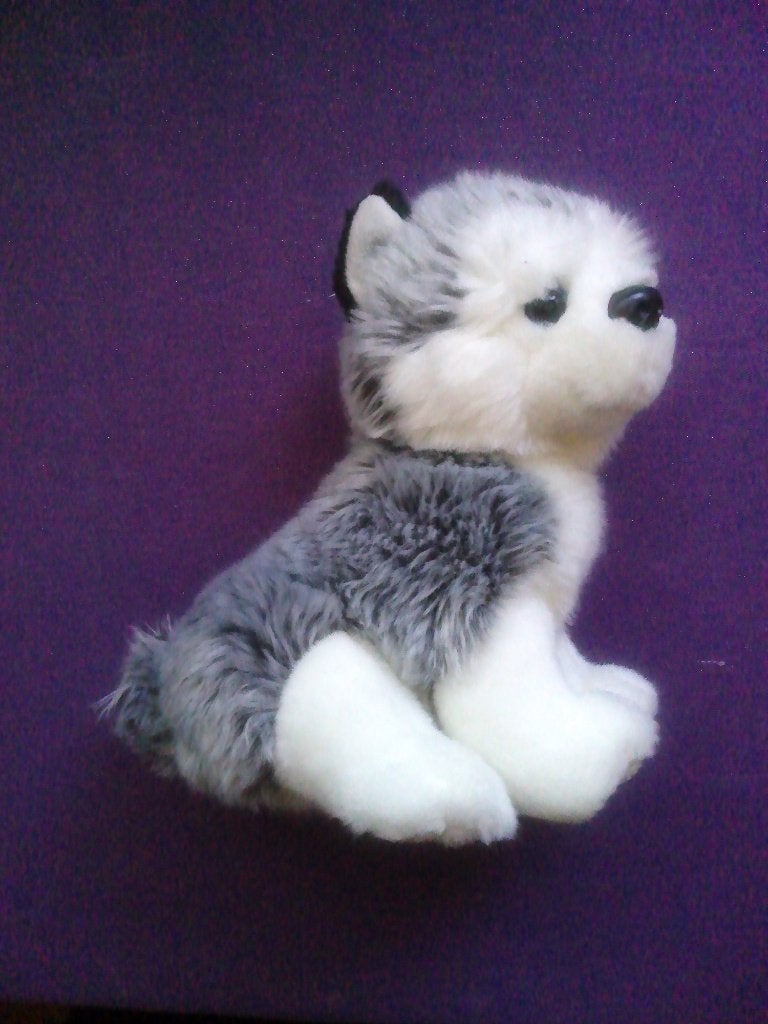 PET'S NATURAL DECORATION  Knuffel HOND HUSKY PUP **Nieuw*, Nieuw, Met label, Middelgroot (20 tot 80 cm), Hond