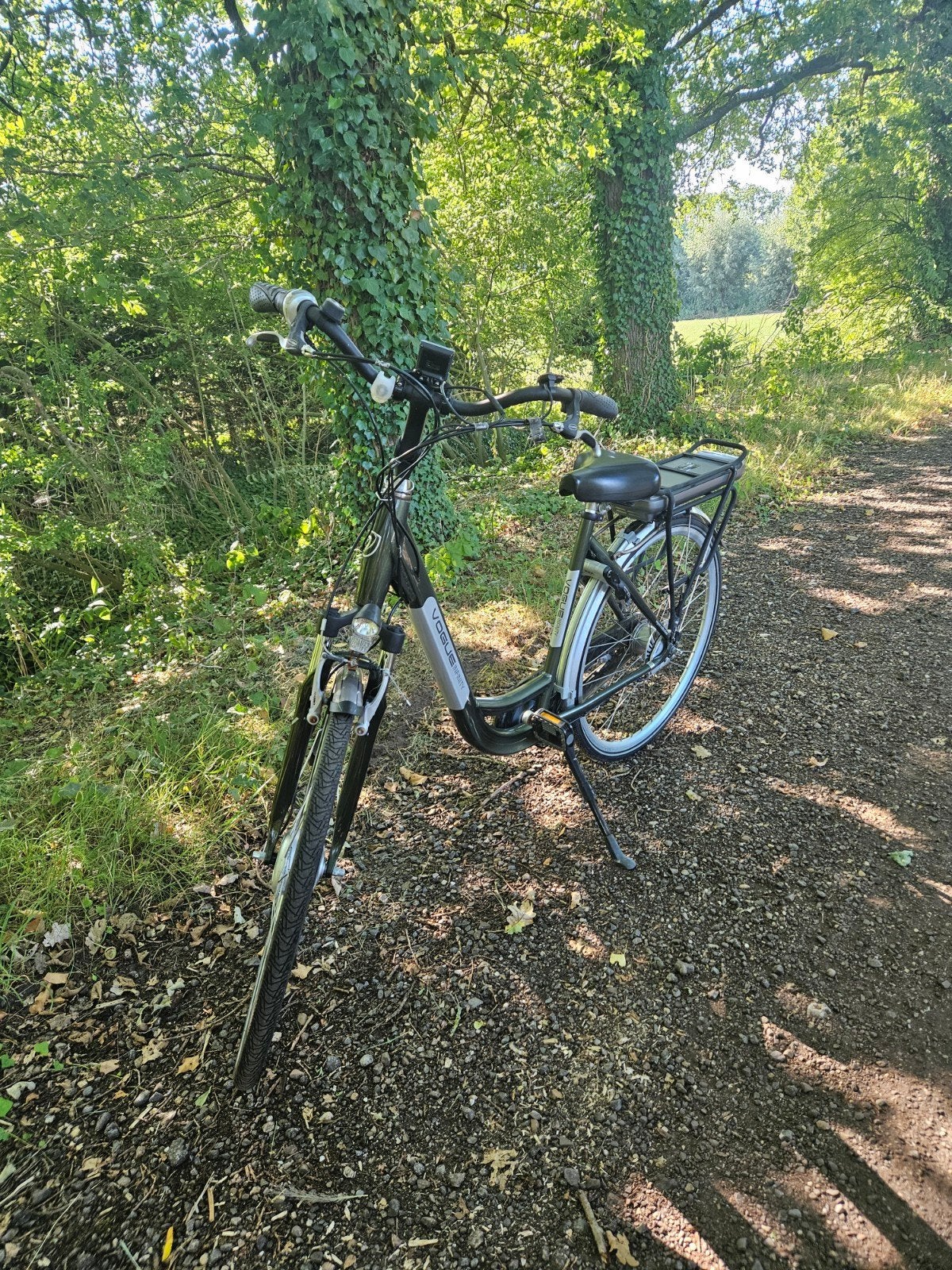 Vogue Infinity elektrische fiets - Zo goed als nieuw, Ophalen