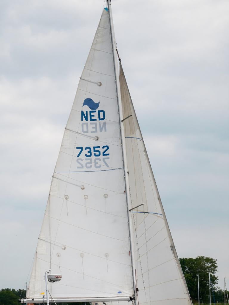 Grootzeil, 6 meter of meer, Gebruikt, Grootzeil, 15 tot 30 m²