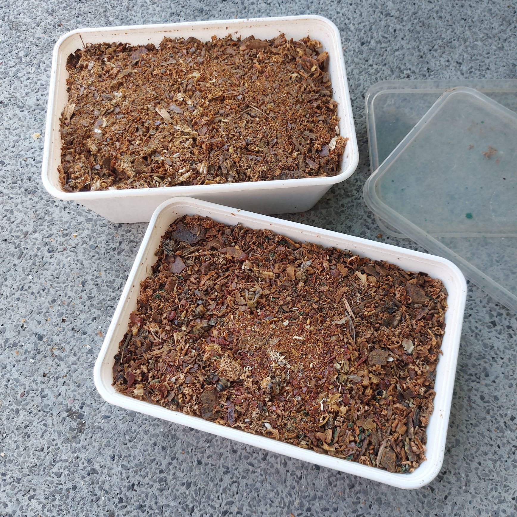 Propolis (ongezuiverd), Dieren en Toebehoren, Overige soorten