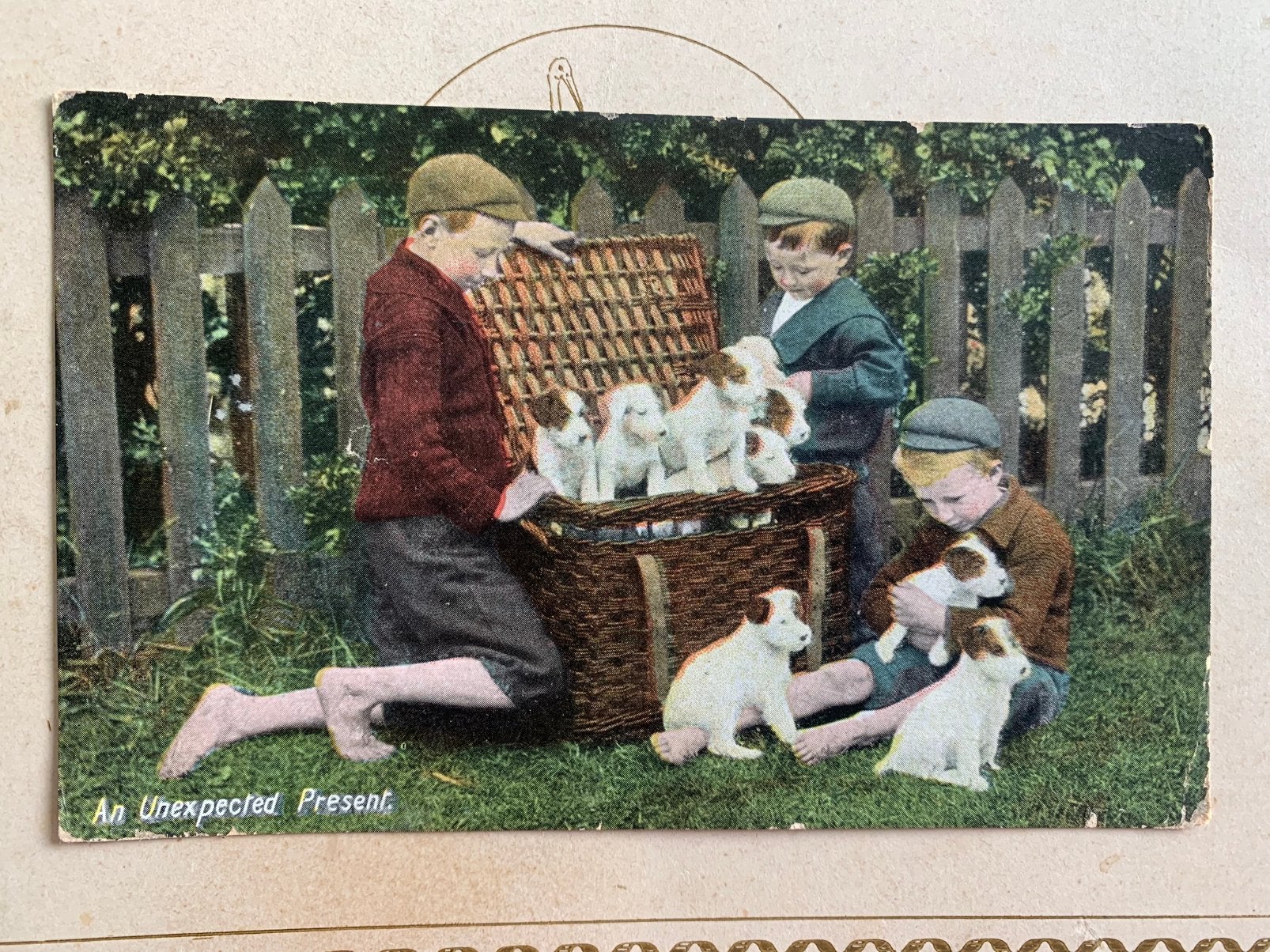 1911 An unexpected present - mand vol puppy’s, hondjes (VI), Ophalen of Verzenden, Voor 1920, Gelopen, Hond of Kat
