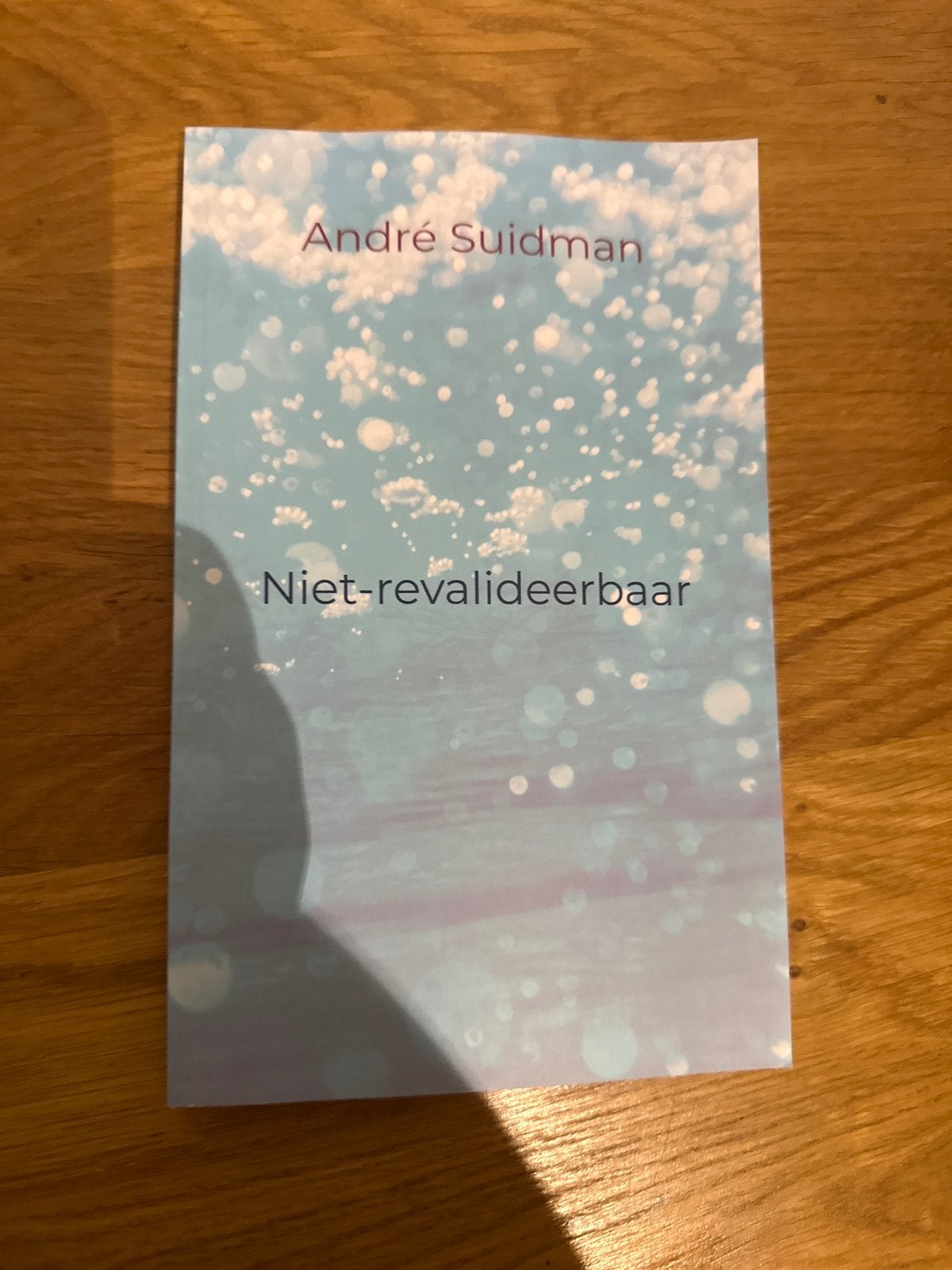 Niet-revalideerbaar - André Suidman, Boeken, Ophalen of Verzenden, Zo goed als nieuw, Nederland