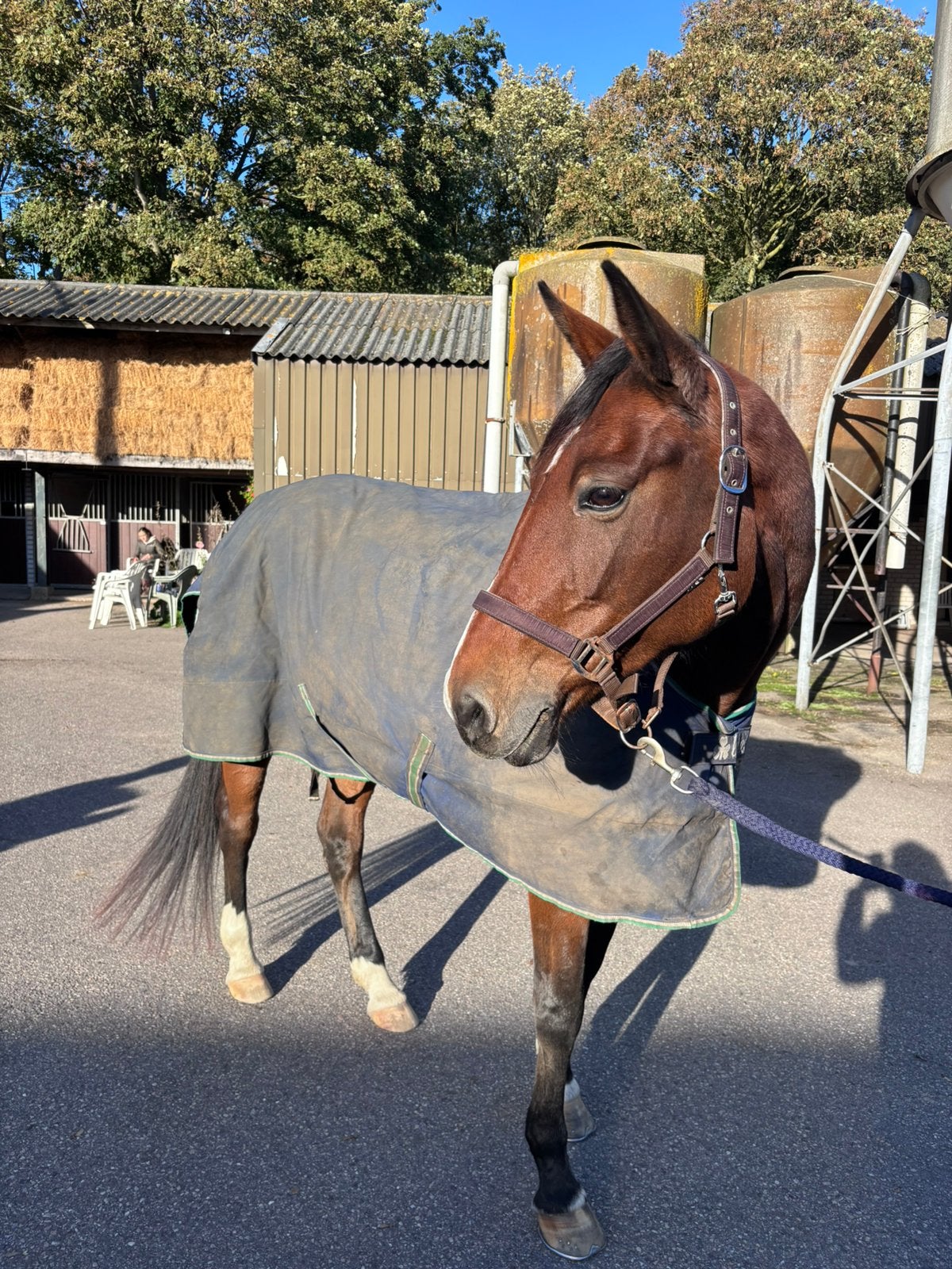 Bucas Smartex Medium paardendeken maat 140 + originele tas, Bucas, Klittenbandsluiting, Ophalen of Verzenden, Zo goed als nieuw