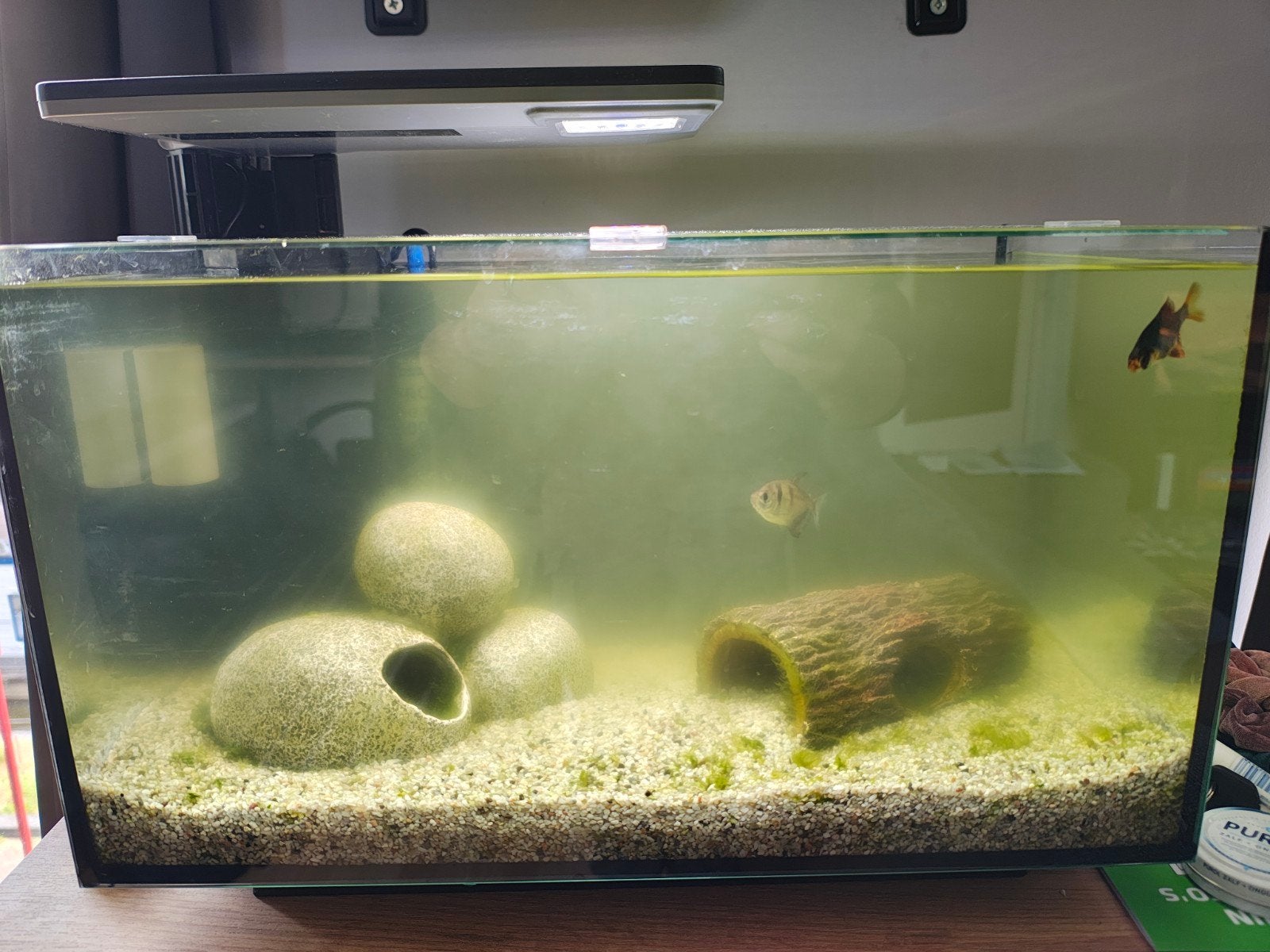 Superfish Quadro 40 Pro Aquarium, Dieren en Toebehoren, Vissen | Aquaria en Toebehoren, Ophalen, Gevuld zoetwateraquarium