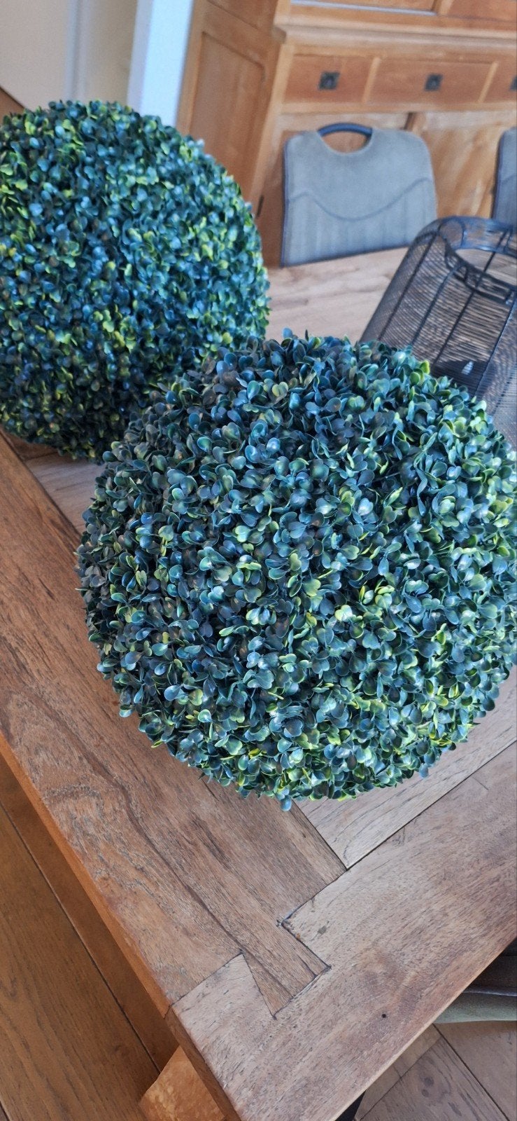 Buxus bol, Ophalen of Verzenden, Overige soorten, Volle zon