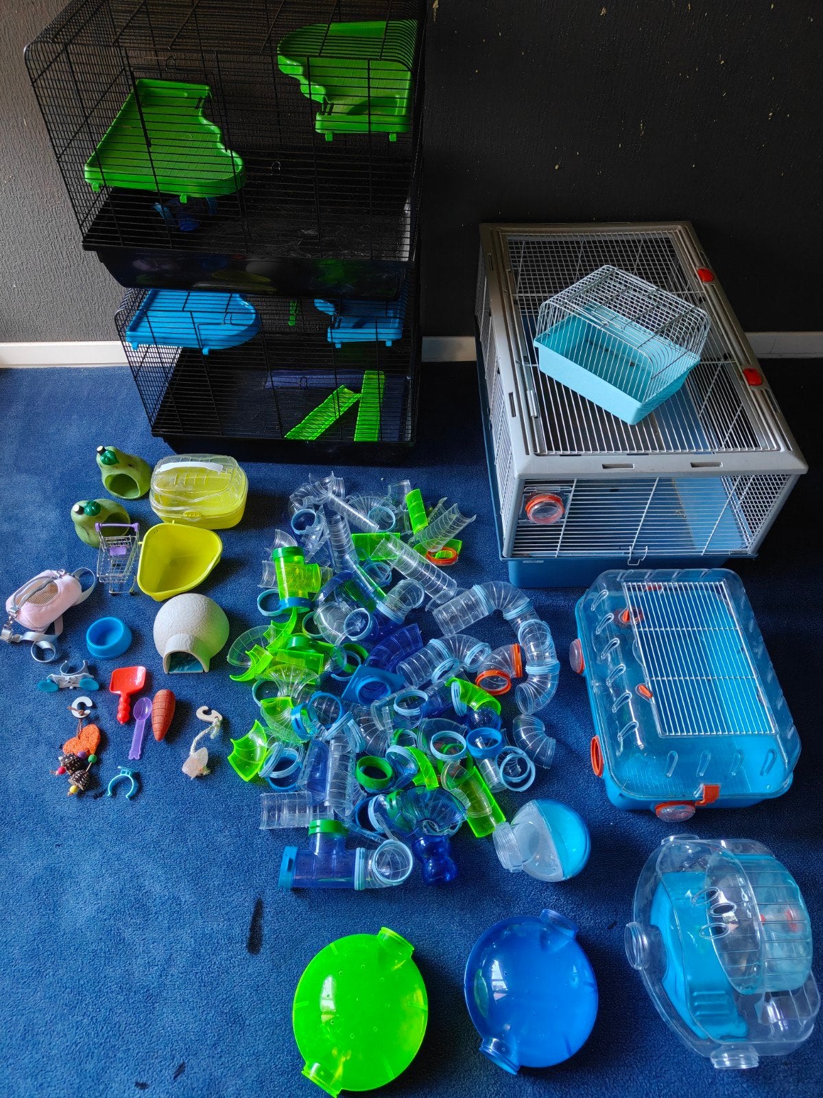 kooien inclusief veel buizen en toebehoren voor knaagdieren, Dieren en Toebehoren, Kooi, Minder dan 75 cm, Hamster, Ophalen