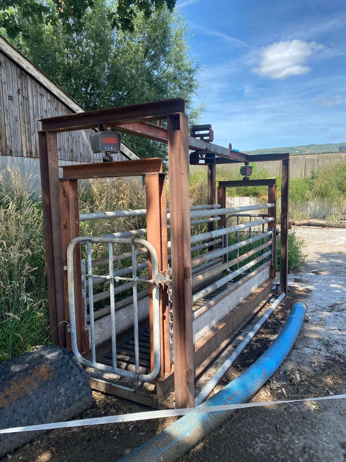 Weegbox, Dieren en Toebehoren, Toebehoren, 4 paarden of pony's of meer