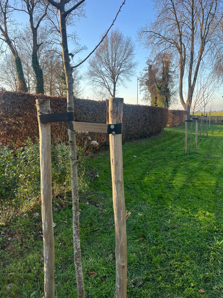 Kastanje palen afrastering schutting erfscheiding tuin terra, Tuin en Terras, Palen, Balken en Planken, Ophalen of Verzenden, Nieuw