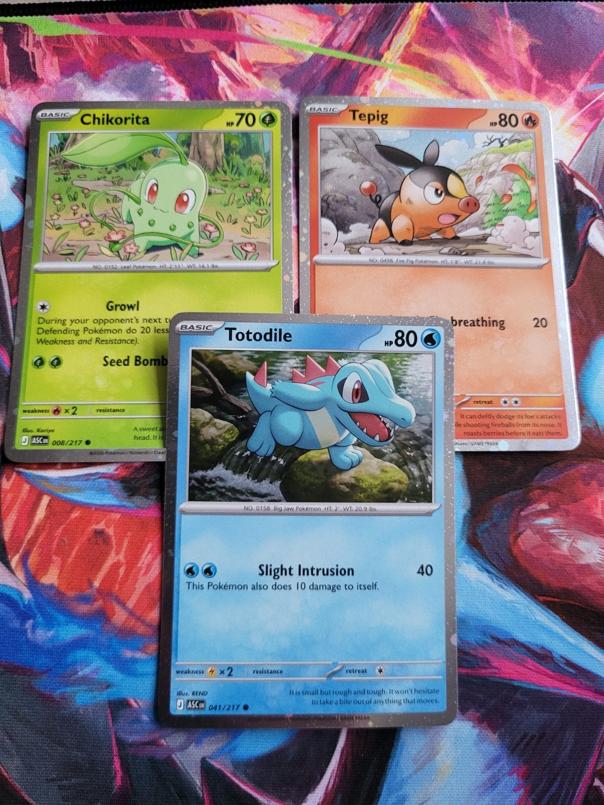 Chikorita Tepig Totodile - Cosmos Holo's Ascended Heroes, Ophalen of Verzenden