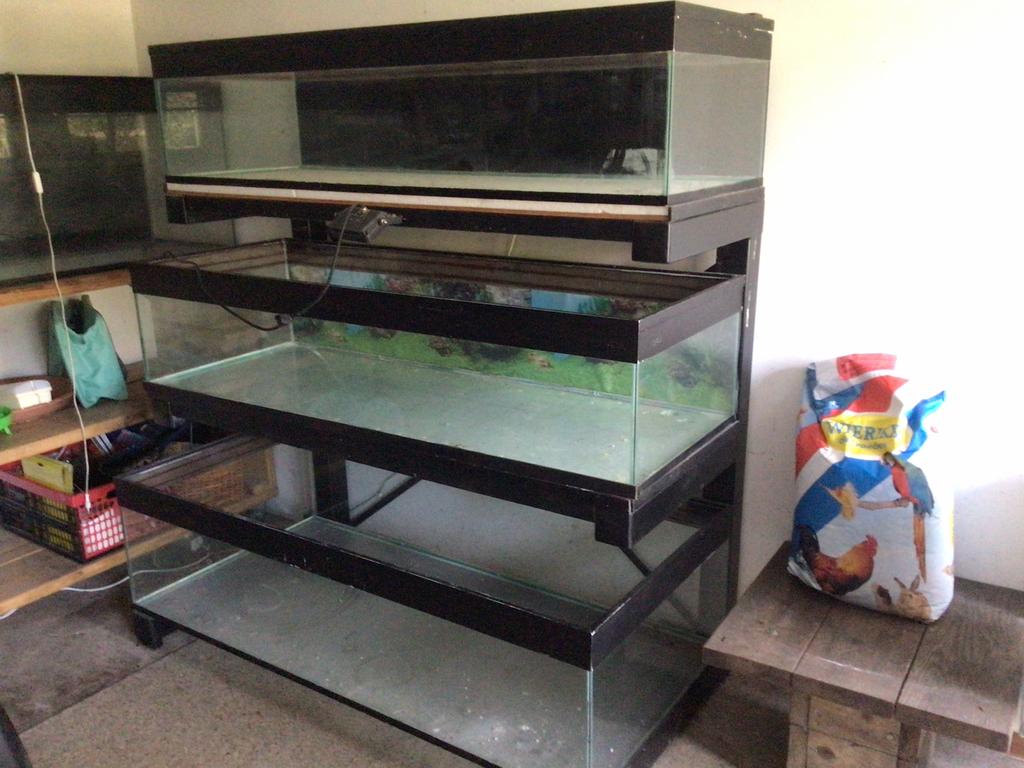 3 glazen terrariumbakken GRATIS, Ophalen of Verzenden, Gebruikt