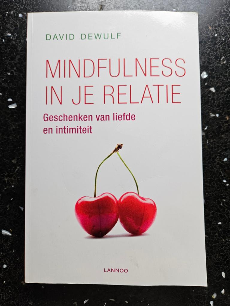Mindfulness in je relatie - David Dewulf, Boeken, Romans, Zo goed als nieuw, Nederland, Ophalen of Verzenden