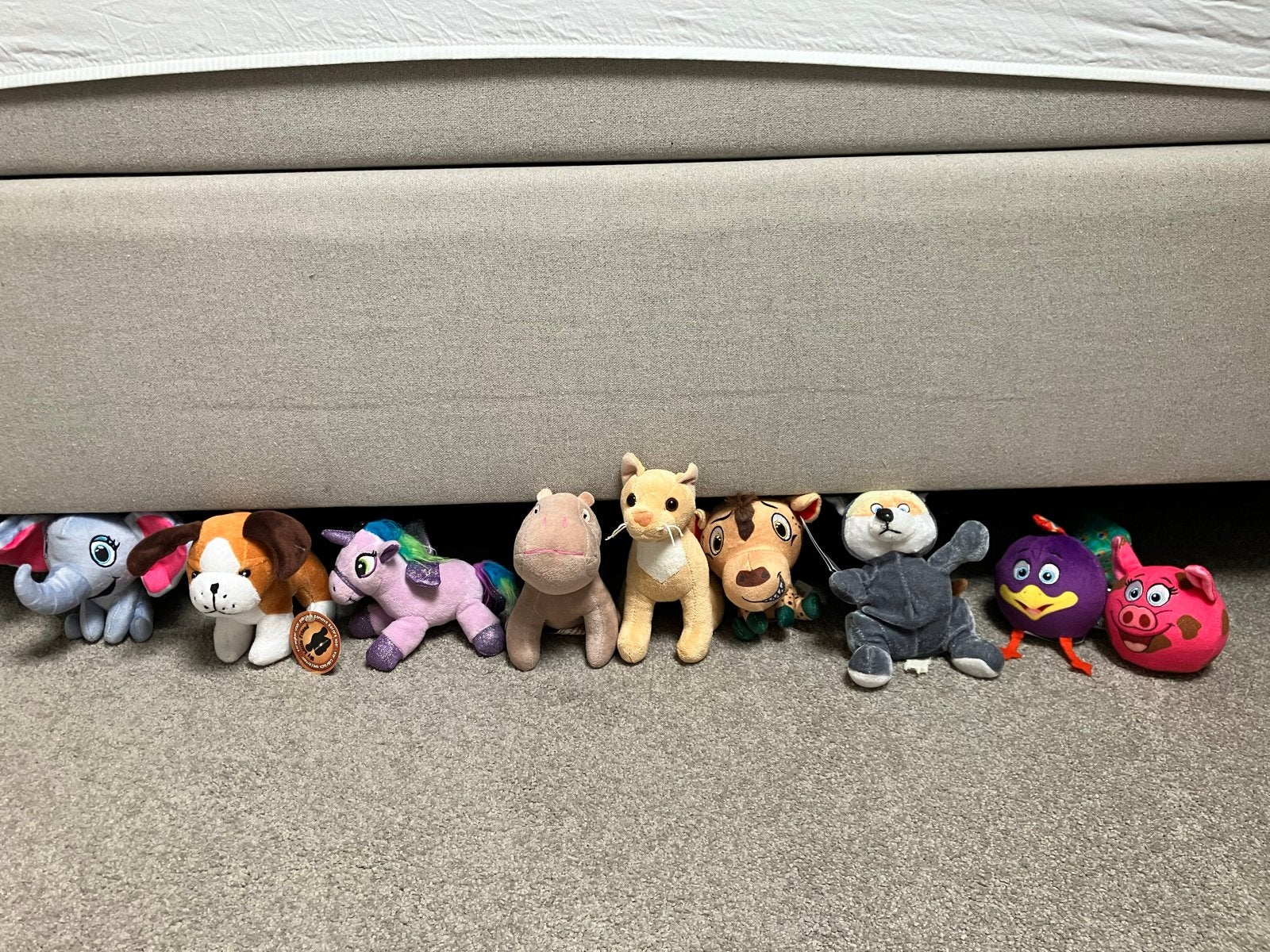 Lidl Safari Mini Knuffeltjes - Diverse Dieren, Kinderen en Baby's, Speelgoed | Knuffels en Pluche, Gebruikt, Overige karakters
