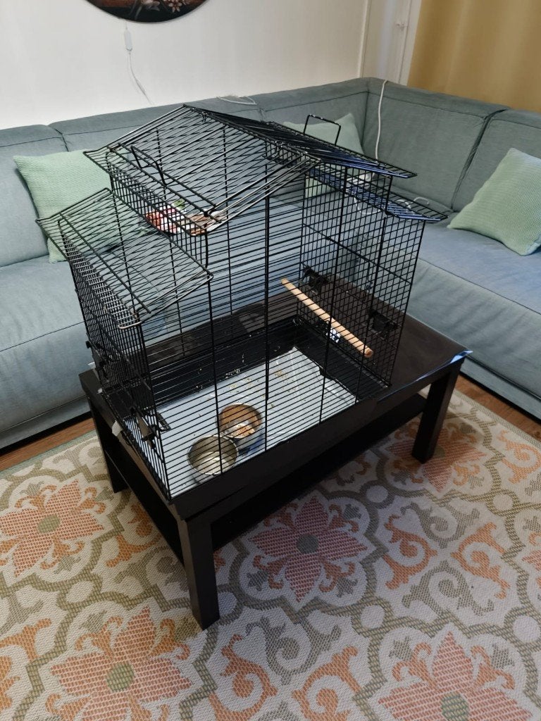 Zwarte vogelkooi met voerbakjes en zitstokjes, Dieren en Toebehoren, Vogels | Hokken en Kooien, Ophalen, Gebruikt, Metaal, Vogelkooi