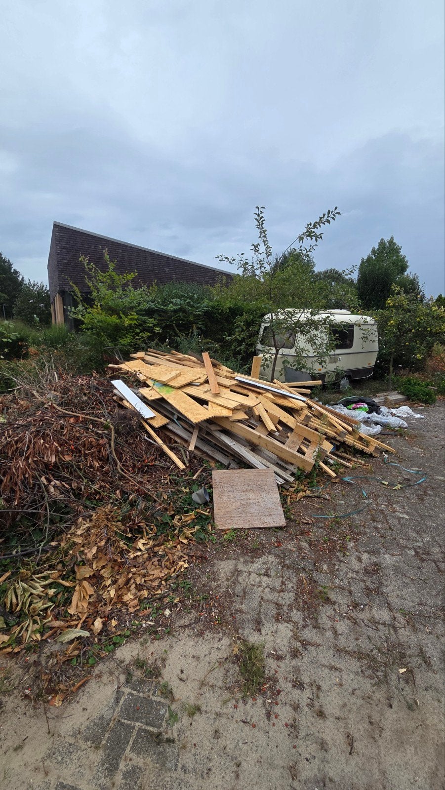 Gratis af te halen: hout. veel hout., Gebruikt, Overige typen, Ophalen of Verzenden, Overige houtsoorten