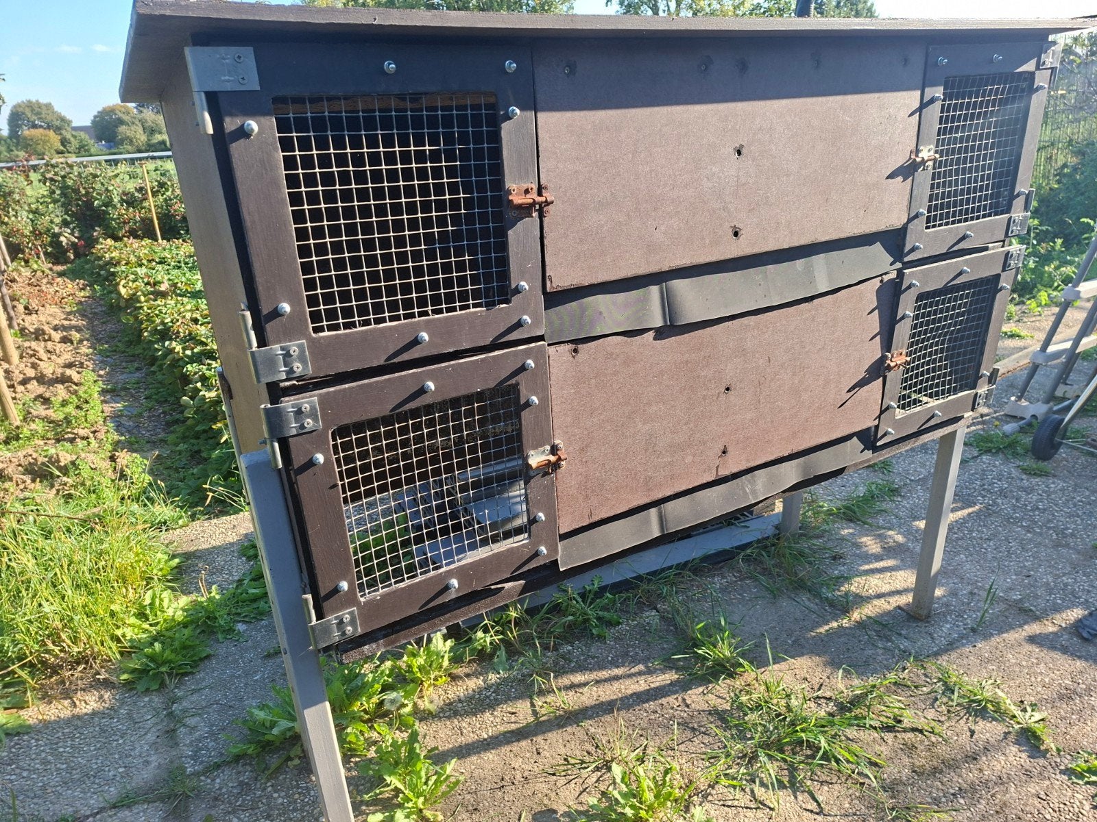 konijnenhok, Ophalen, Gebruikt, Konijn