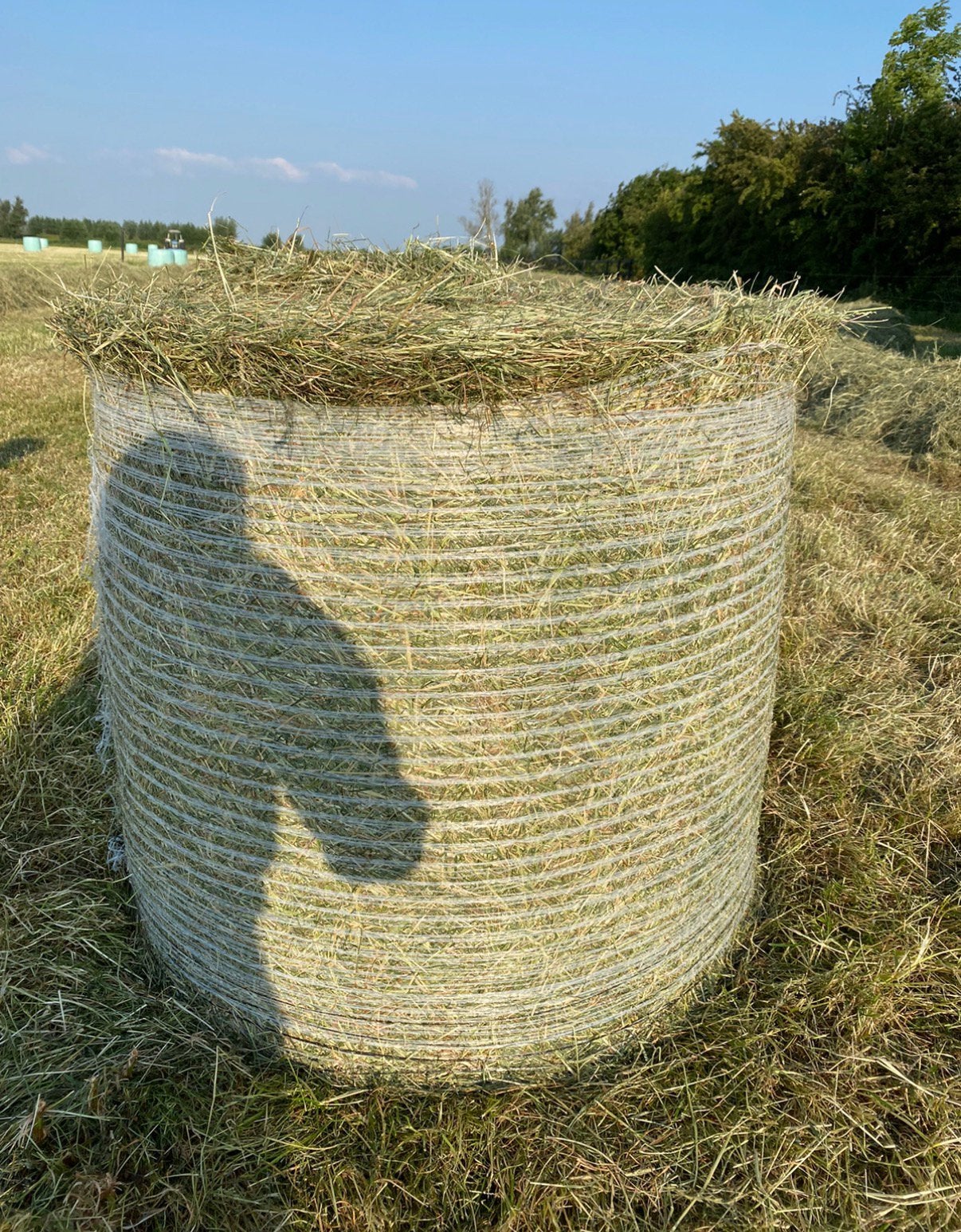 Hooi midibaal Barenbrug Haymaster, Ophalen