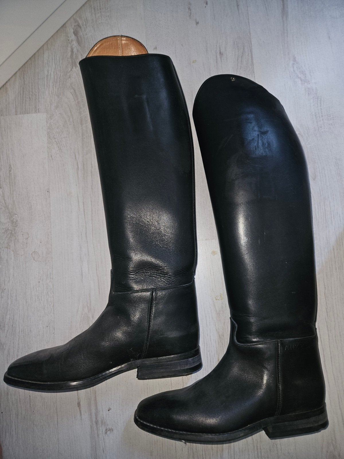 paardrijkleding, Ophalen of Verzenden, Zo goed als nieuw, Dressuur, Schoeisel