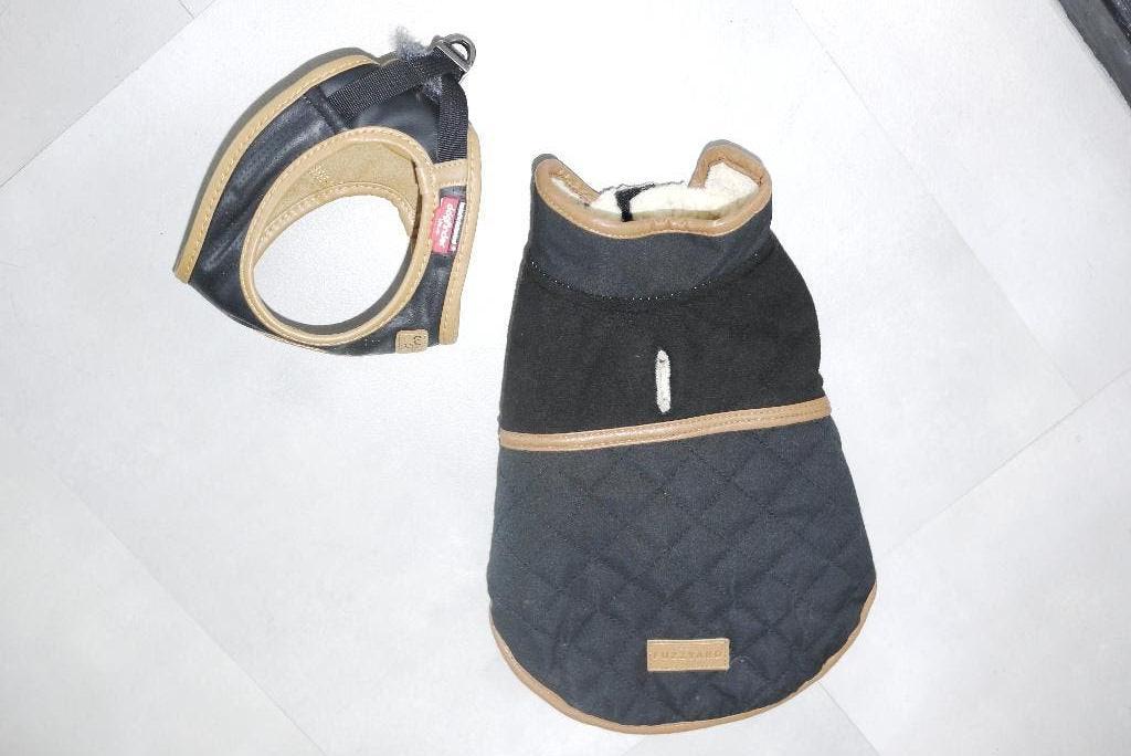 honden jas xs fuzzyard 1 teddy zwart bruin klein maatje, Dieren en Toebehoren, Honden-accessoires, Ophalen of Verzenden, Gebruikt