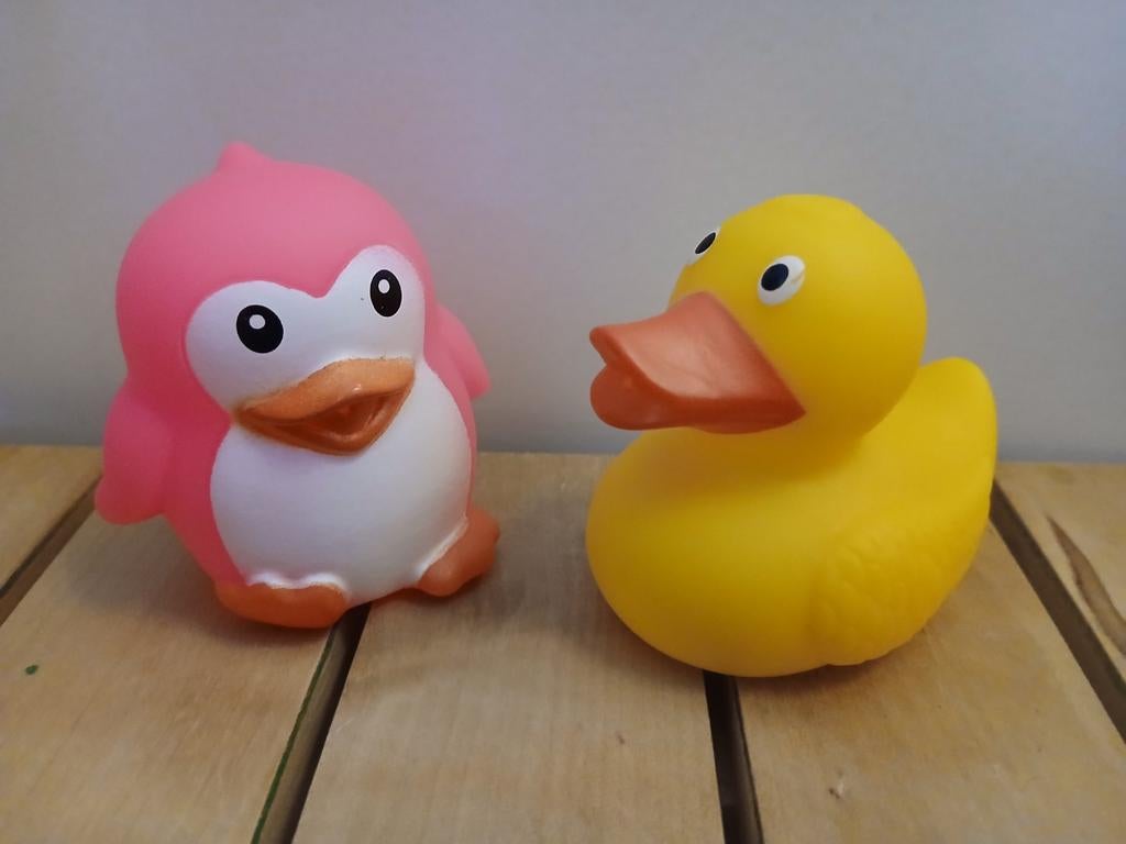 Nieuwe badspeeltjes, Ophalen of Verzenden, Nieuw