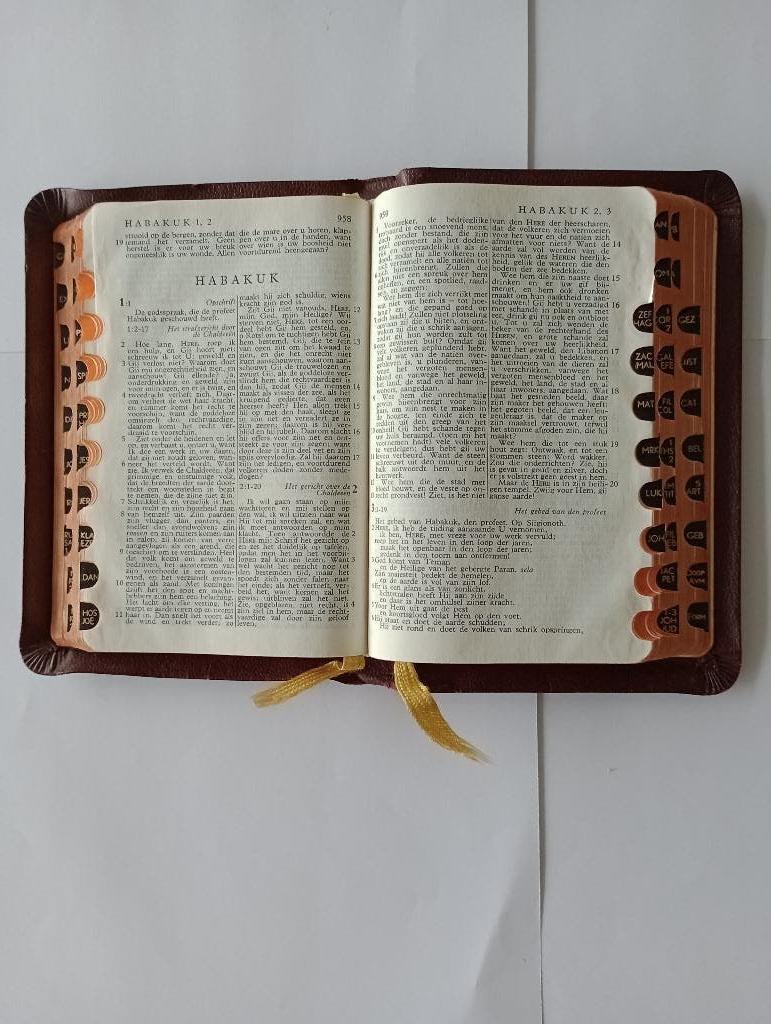 Bijbel  Psalmen goud-op-snee / leeslint / duimen / kunstleer, NBG, Christendom | Protestants, Ophalen of Verzenden, Zo goed als nieuw