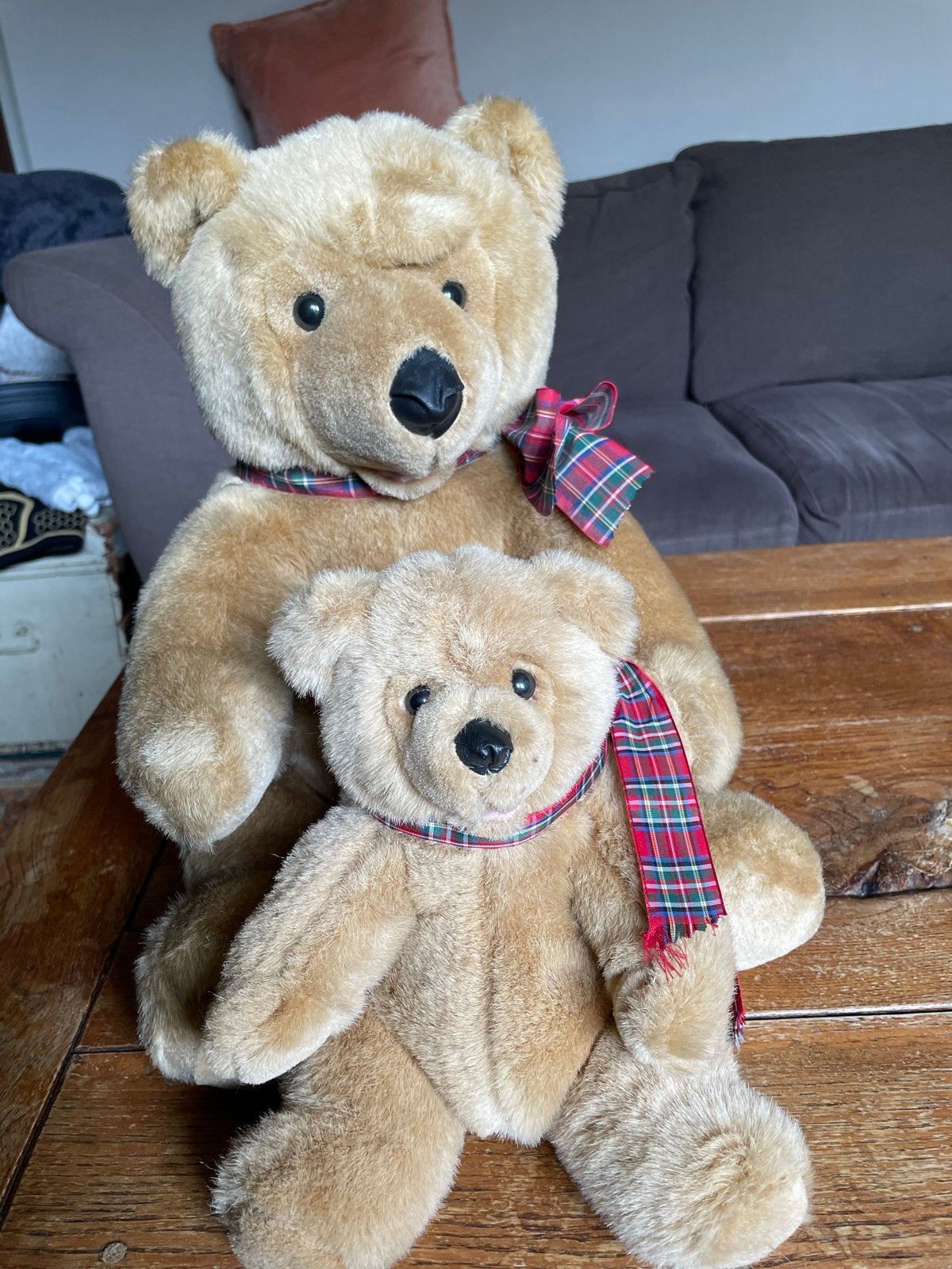2 schattige teddyberen als paar te koop, Ophalen of Verzenden, Zo goed als nieuw, Stoffen beer, Overige merken