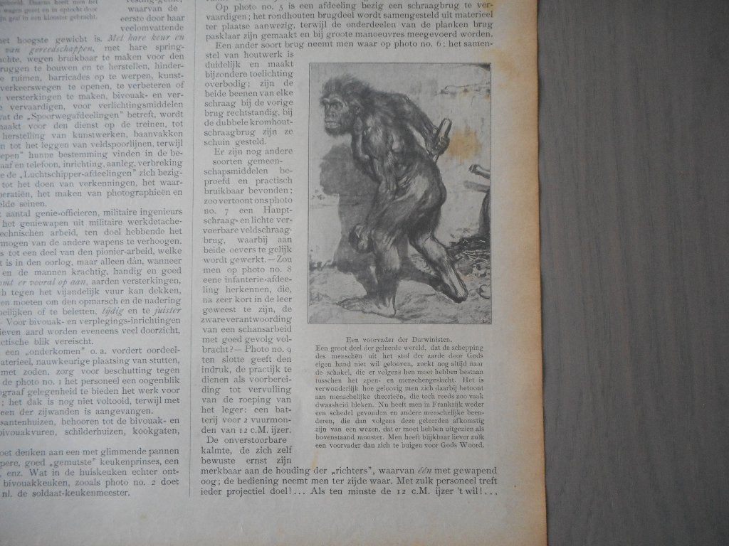 Darwin. Spotprent. 1909., Ophalen of Verzenden, Voor 1920, Knipsel(s)