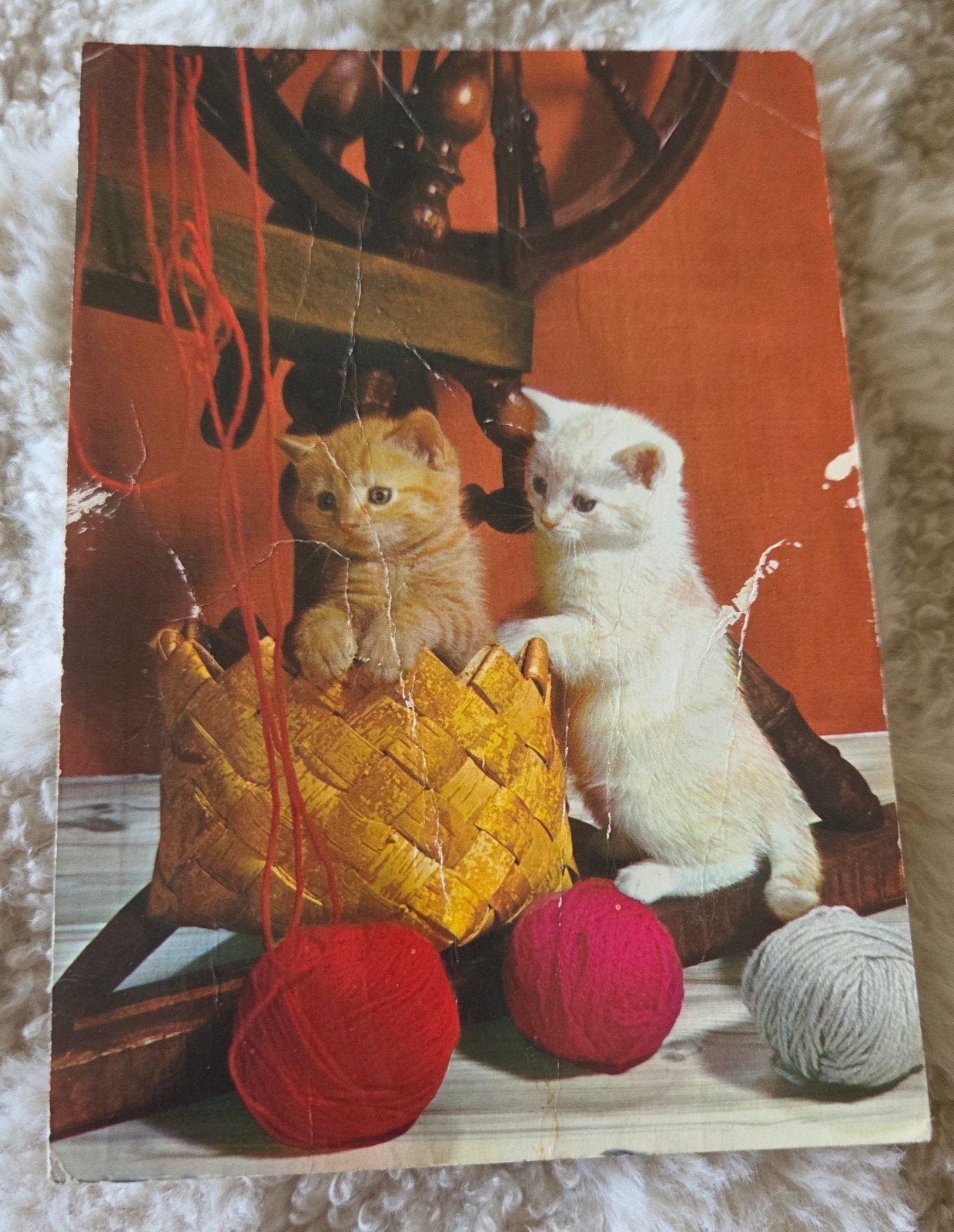 Schattige Katjes met Wol, Verzamelen, Verzenden, 1960 tot 1980, Gelopen, Hond of Kat