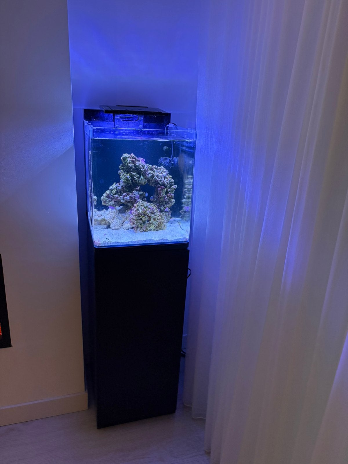 Compleet Blue Marine 60L zeeaquarium – Startklaar, Dieren en Toebehoren, Ophalen, Zo goed als nieuw, Leeg aquarium, Blue Marine