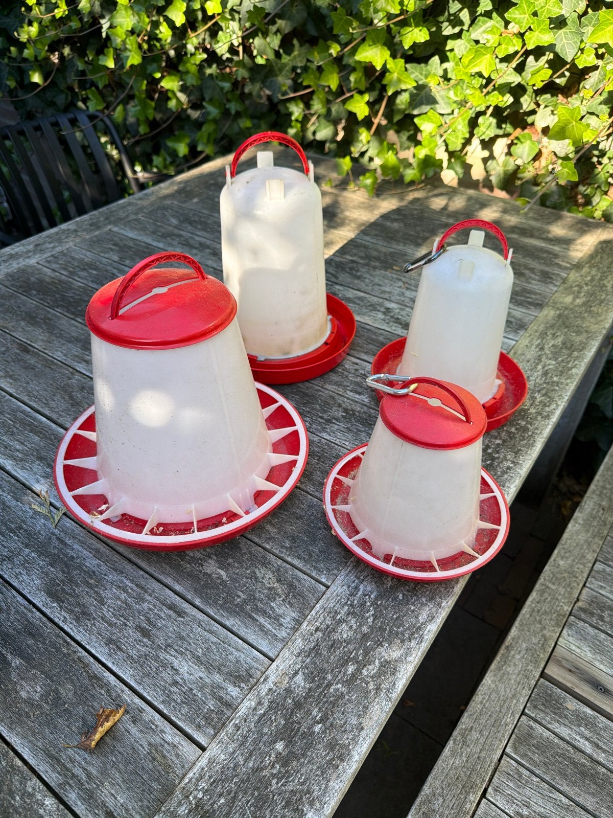 Drink- en eetbakken pluimvee / kip, Ophalen