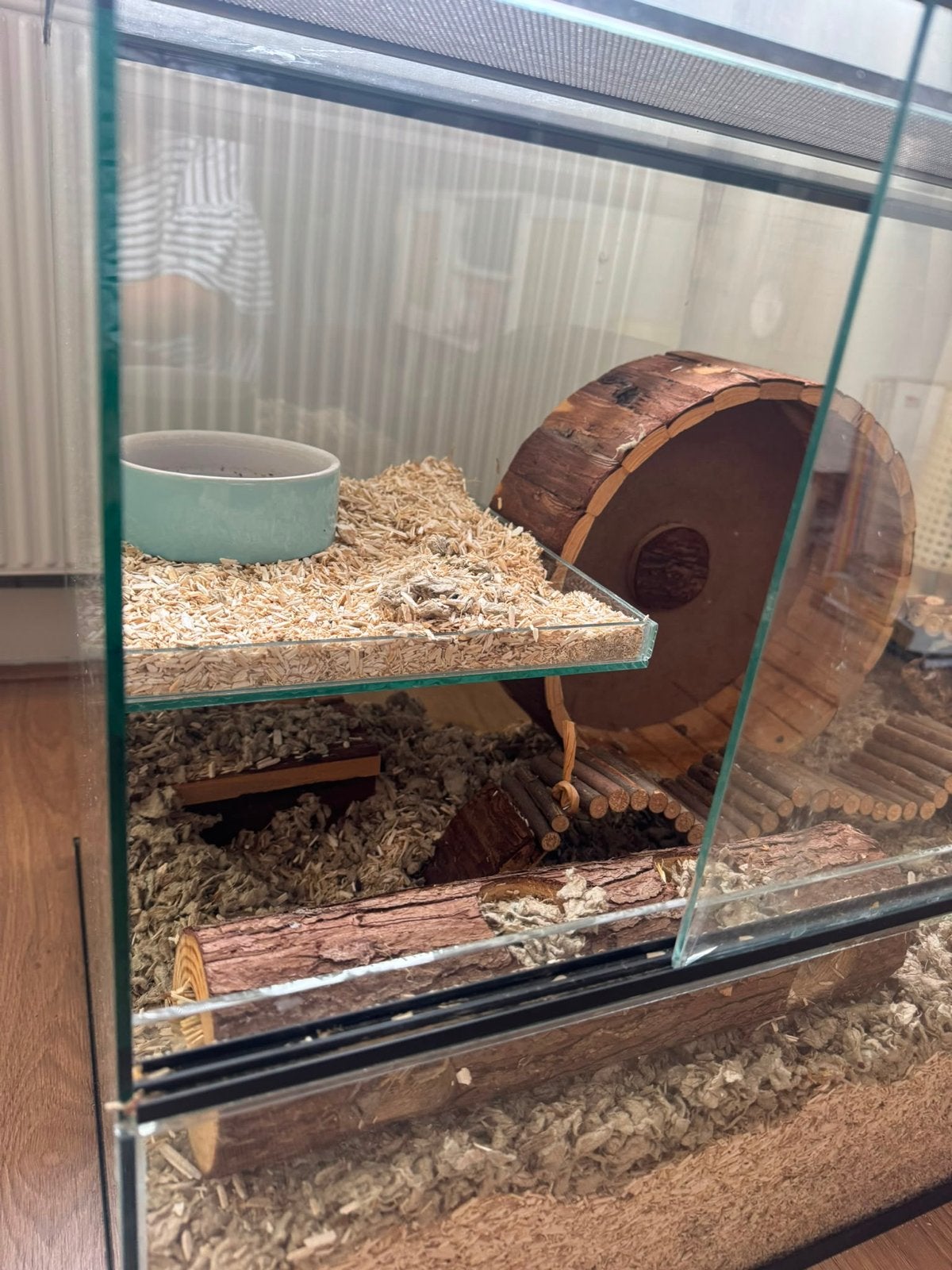 Glazen hamster hok, Dieren en Toebehoren, Zo goed als nieuw, Hamster, Hok, 75 tot 110 cm