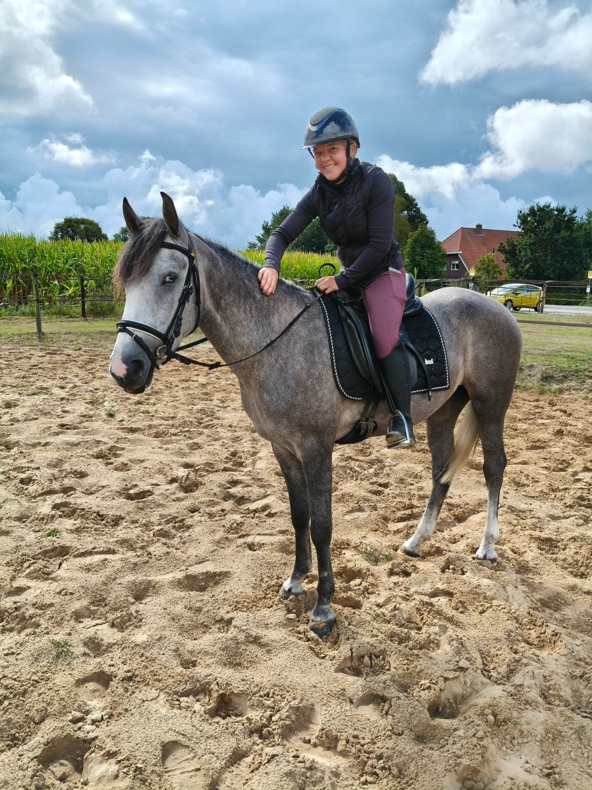 Doorrijden van je pony/paard/zadelmak maken opleiden️, Gedragstraining