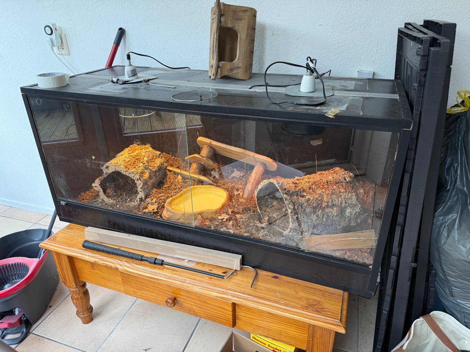 Betonplexterrarium met Koningspython (Python regius) Ball Python photo 4