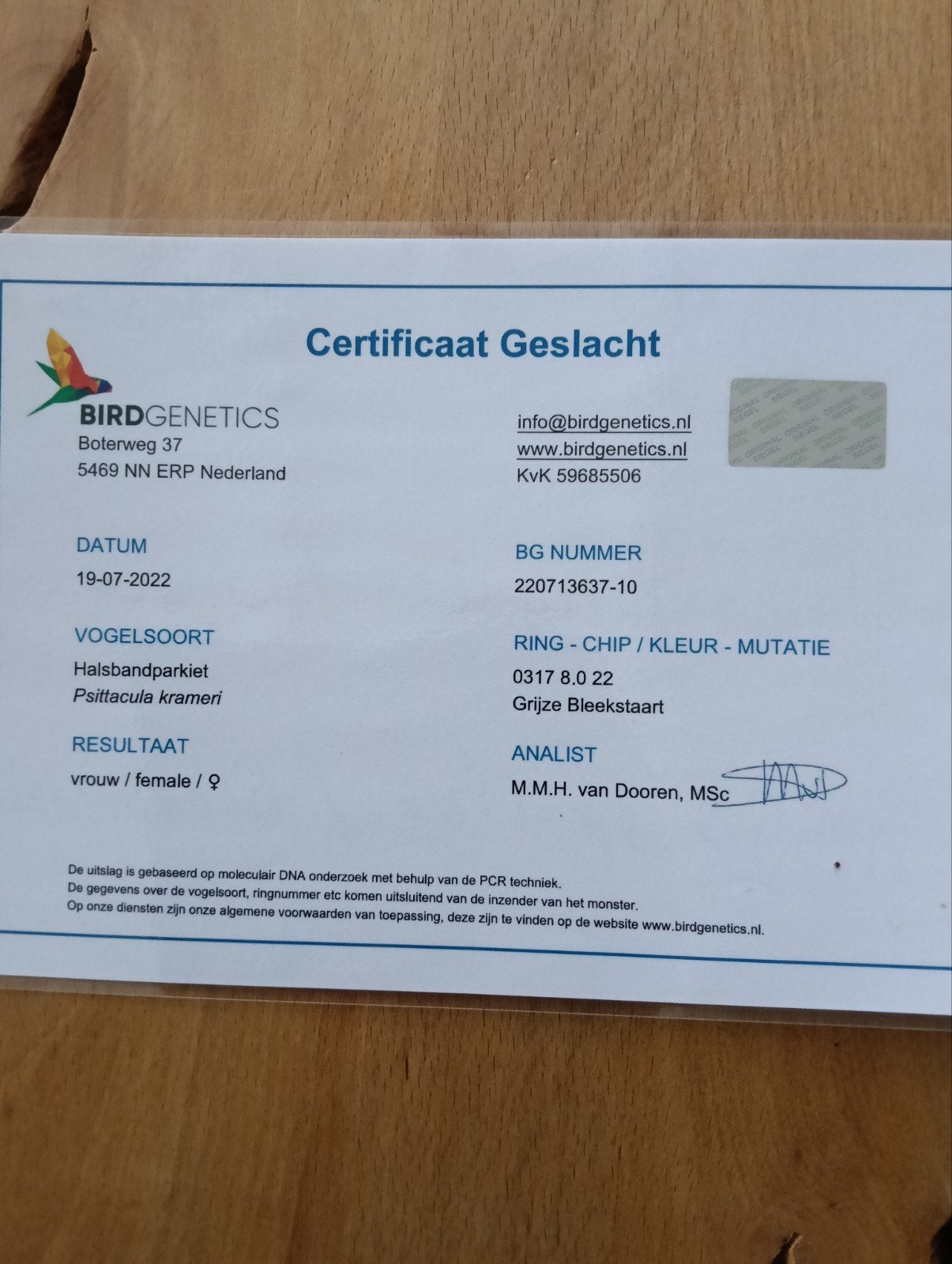 Koppel halsbandparkieten met DNA certificaat, Dieren en Toebehoren, Meerdere dieren, Parkiet, Geringd