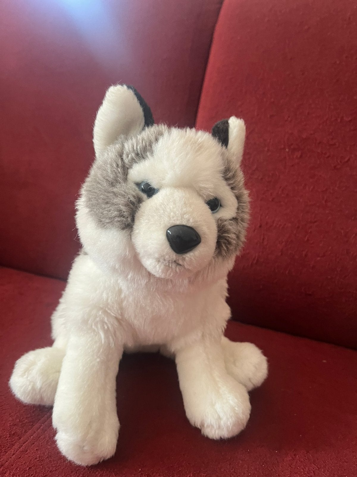 Wolf, mooie kwaliteit WWF, Ophalen of Verzenden, Zo goed als nieuw, Overige typen