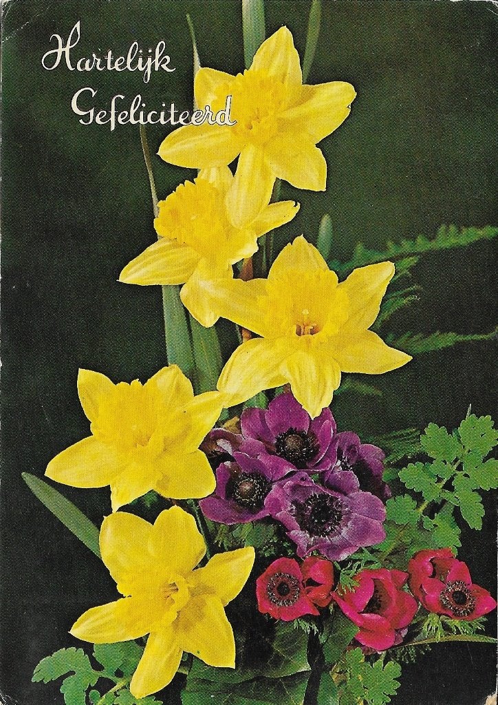Ansichtkaart  	Felicitatie	Bloemen	Narcissen en Anemonen, Verzenden, 1960 tot 1980, Gelopen, Natuur